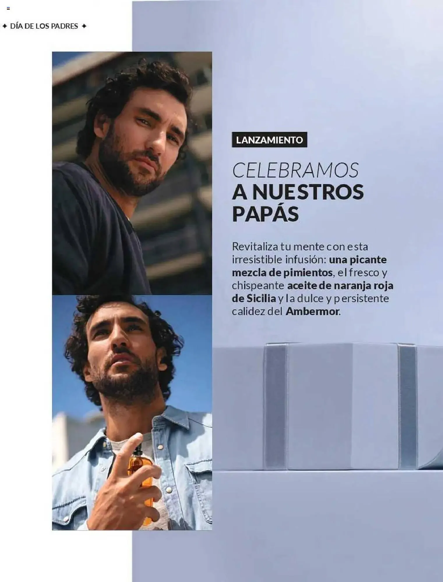 Catálogo de Catálogo Avon 16 de abril al 30 de junio 2025 - Página 5