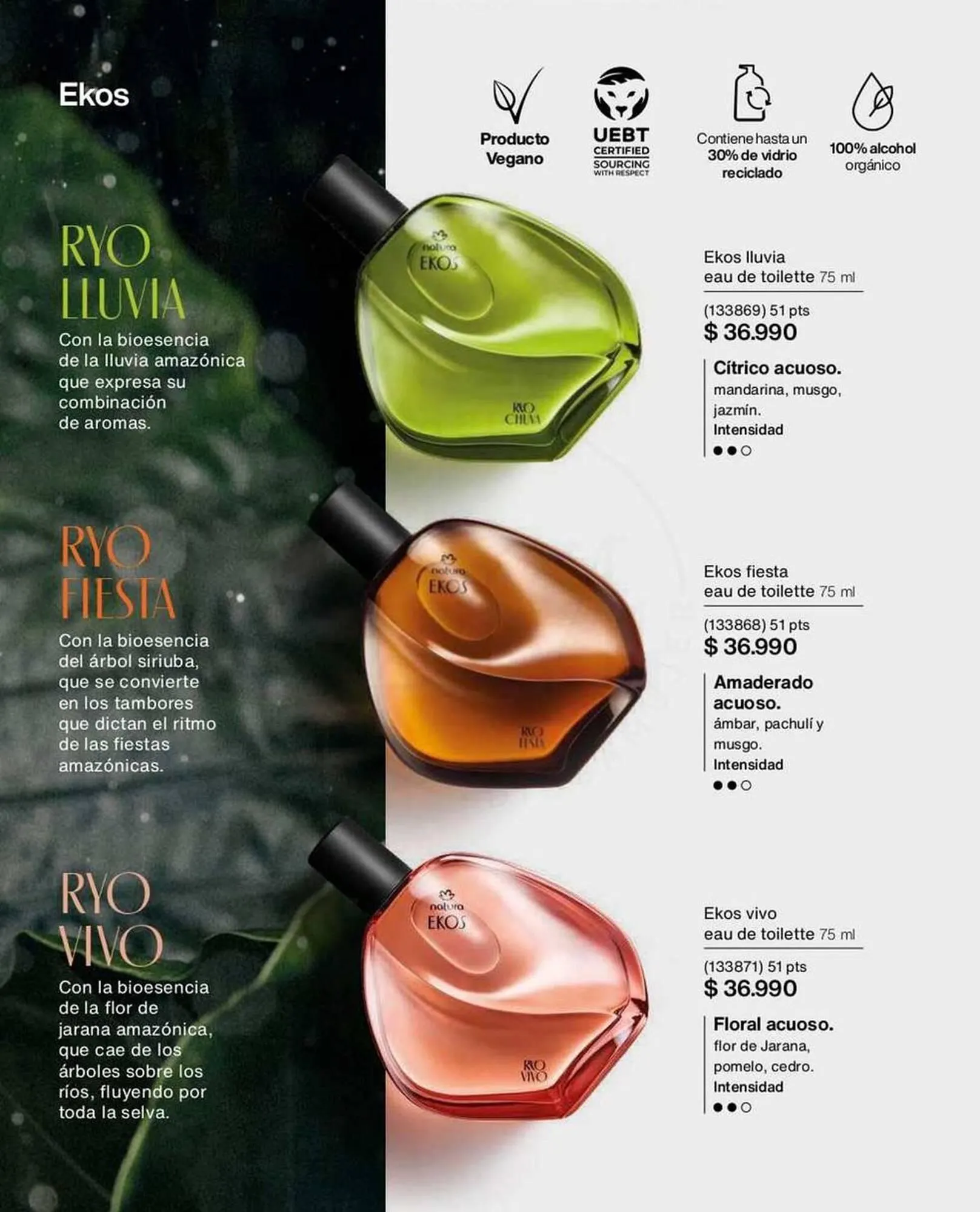 Catálogo de Catálogo Natura 2 de octubre al 31 de octubre 2025 - Página 55