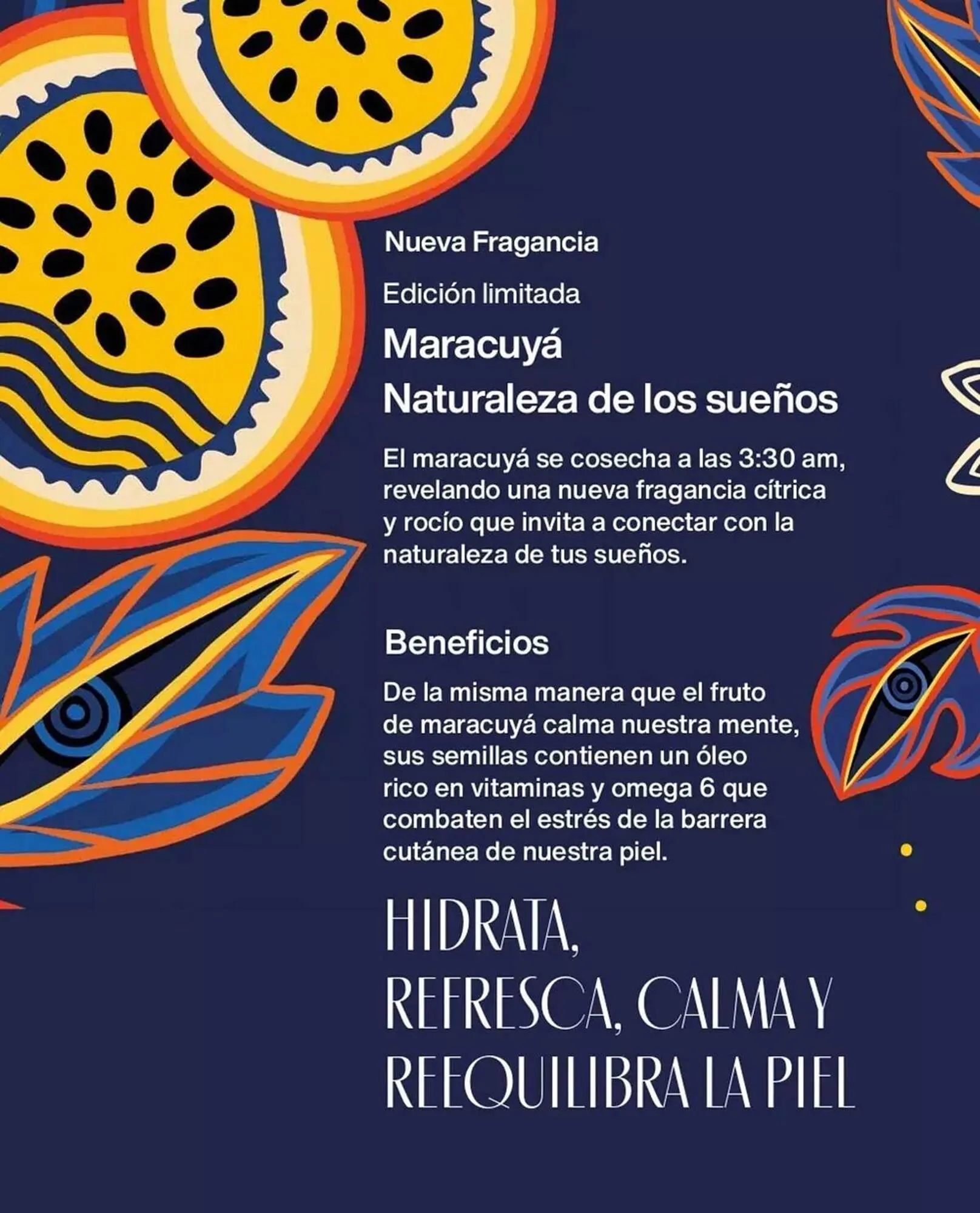 Catálogo de Catálogo Natura 1 de septiembre al 30 de septiembre 2025 - Página 115