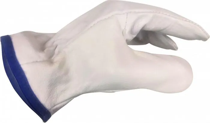 Guante Cabritilla Corto SIN Forro