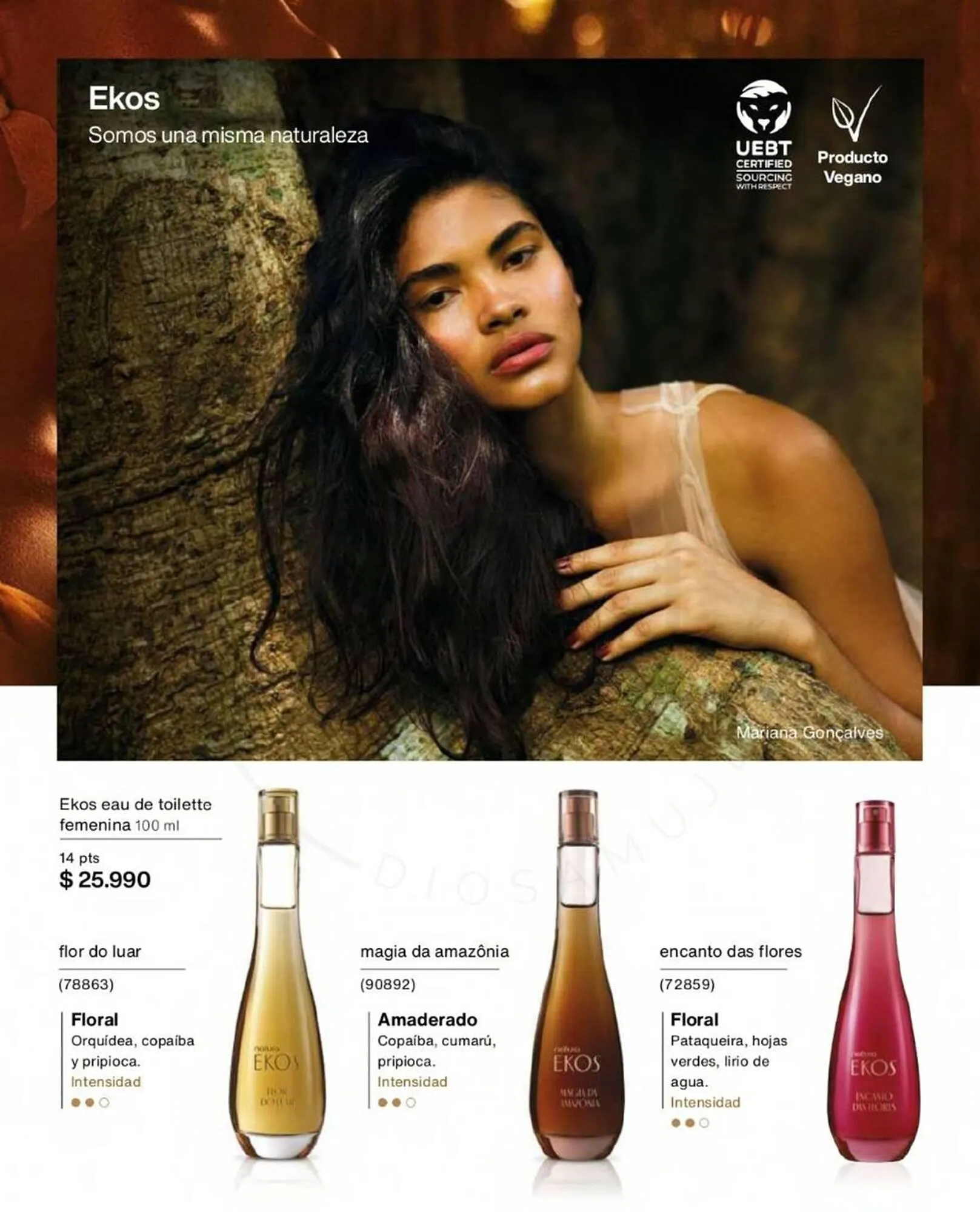 Catálogo de Catálogo Natura 1 de enero al 20 de enero 2024 - Página 28