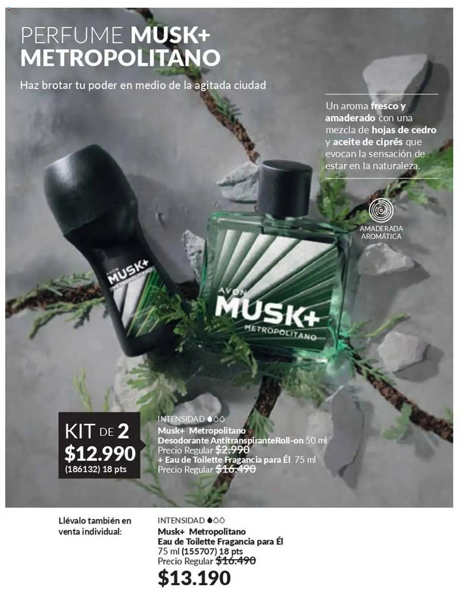 Catálogo de Catálogo Avon 1 de marzo al 16 de marzo 2025 - Página 67