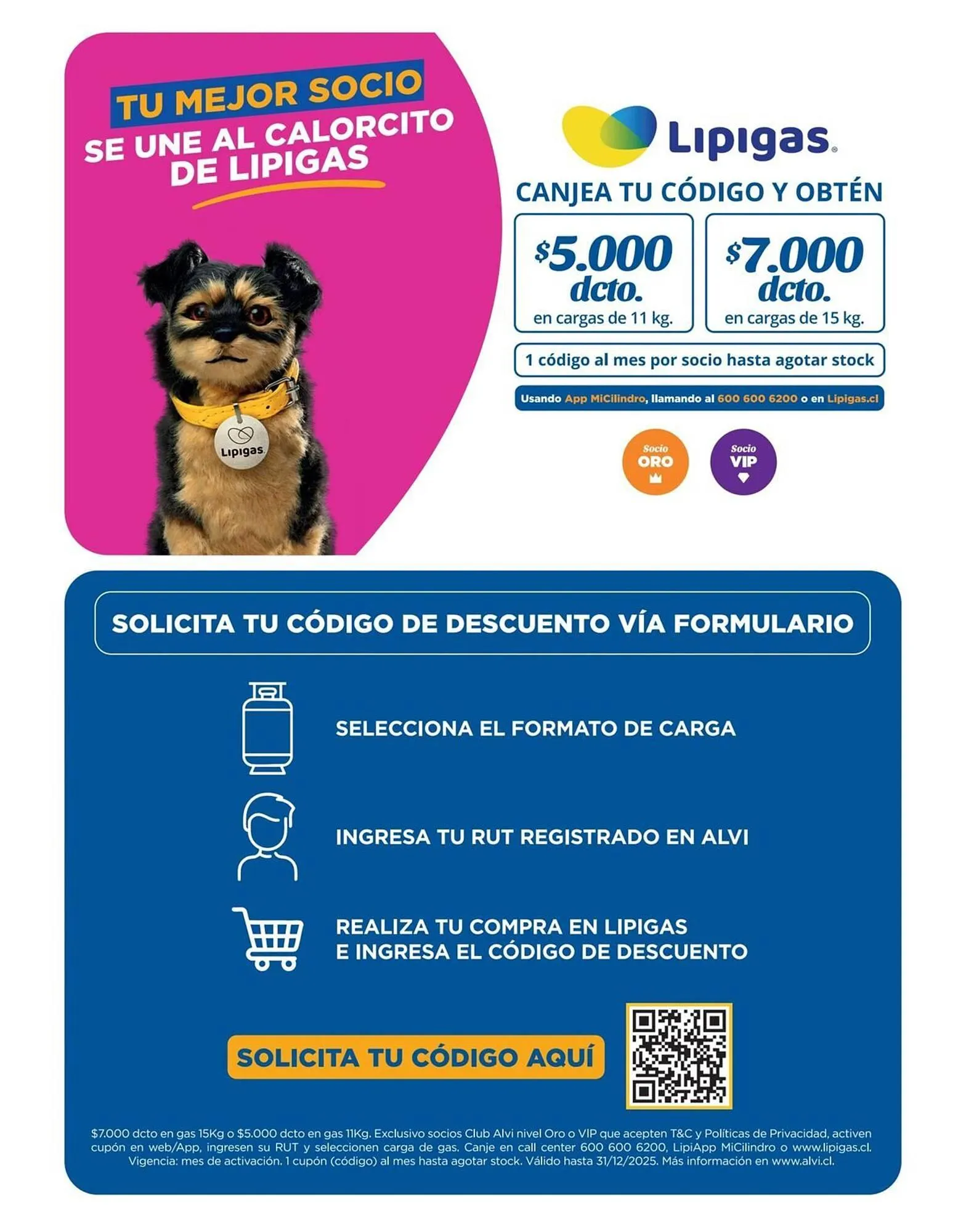 Catálogo de Catálogo Alvi 4 de noviembre al 9 de noviembre 2025 - Página 14