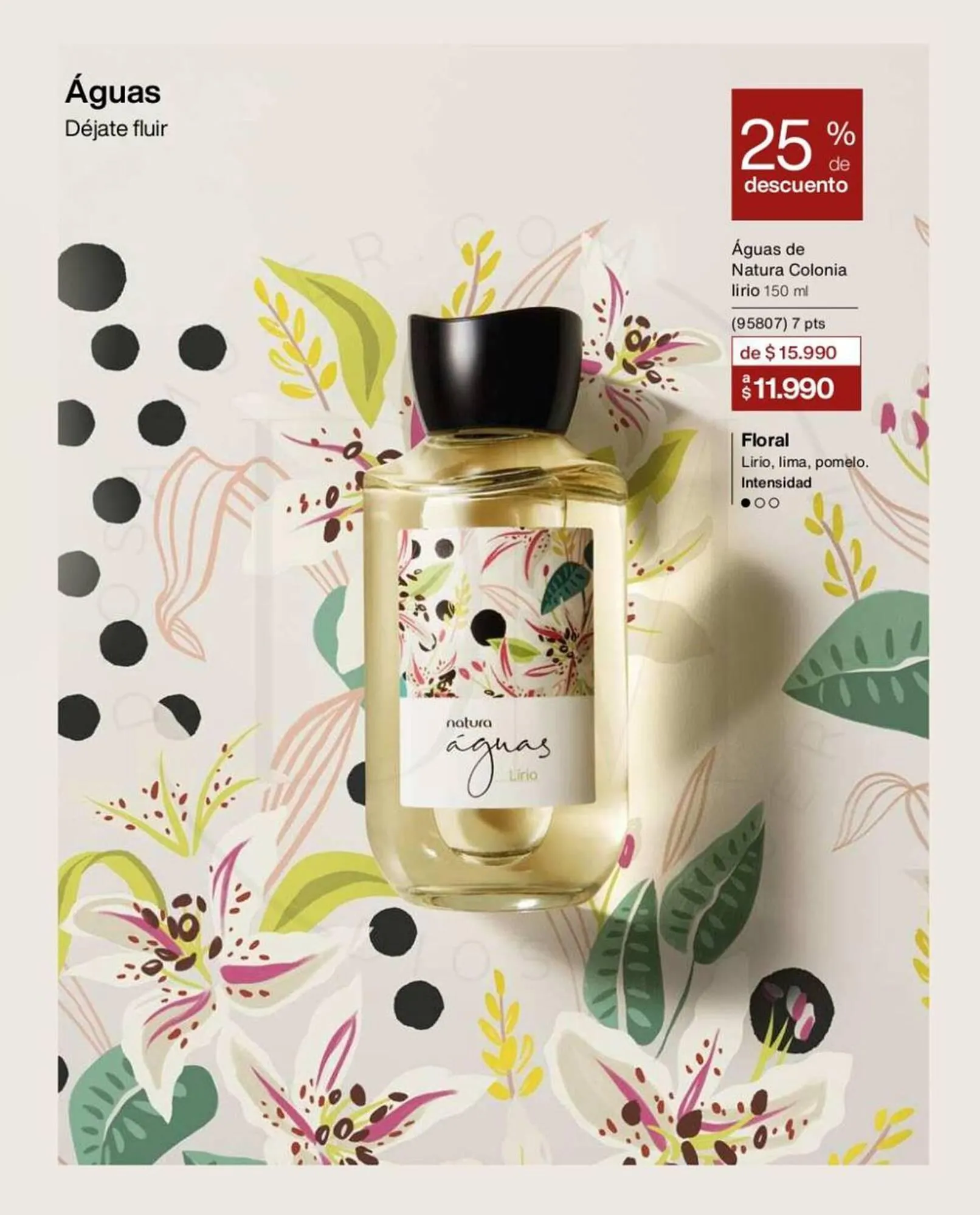 Catálogo de Catálogo Natura 20 de enero al 10 de febrero 2024 - Página 49