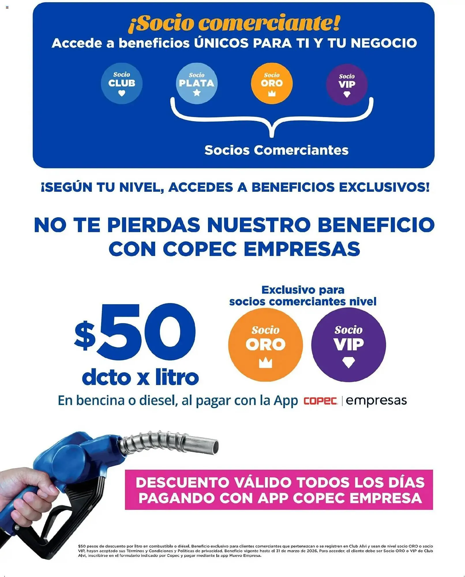 Catálogo de Catálogo Alvi 14 de enero al 10 de febrero 2026 - Página 12