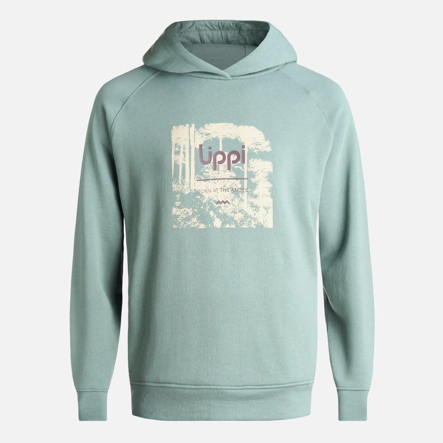 Poleron Hombre Insigne Hoody Sweatshirt Front Print Jade Oscuro Lippi