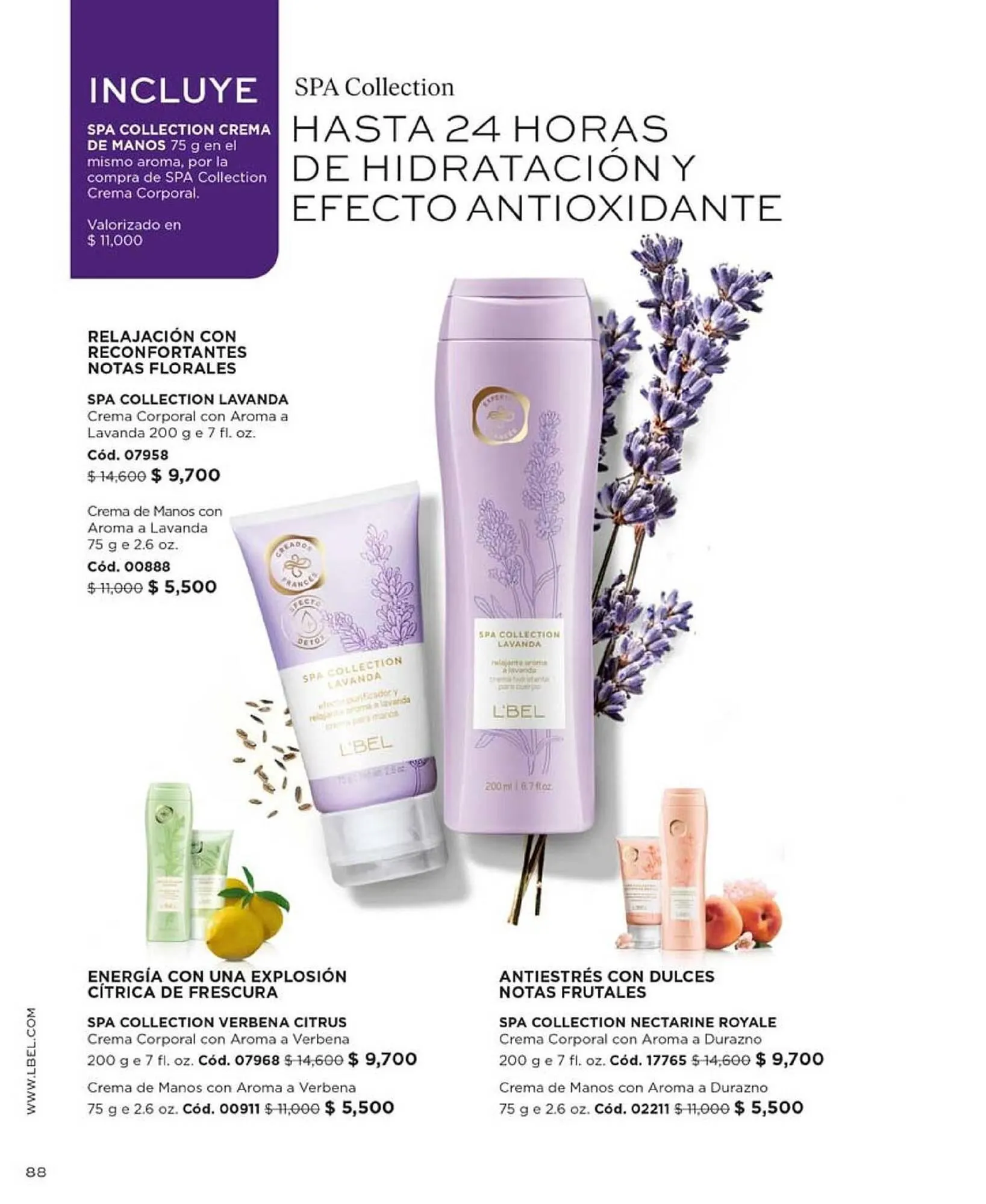 Catálogo de Catálogo L'Bel 19 de octubre al 2 de noviembre 2023 - Página 87