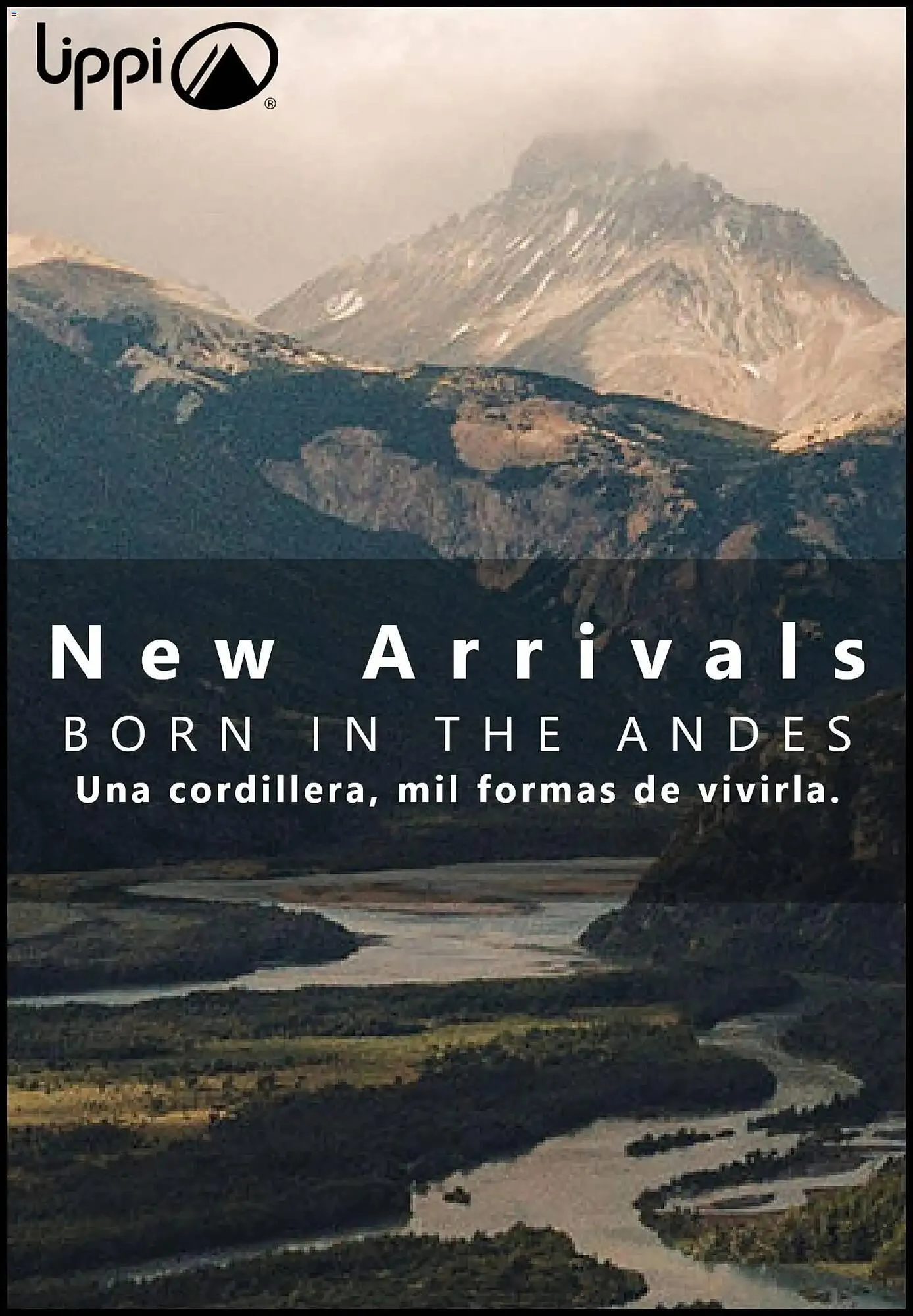 Catálogo de Catálogo Lippi 12 de noviembre al 19 de noviembre 2025 - Página 1