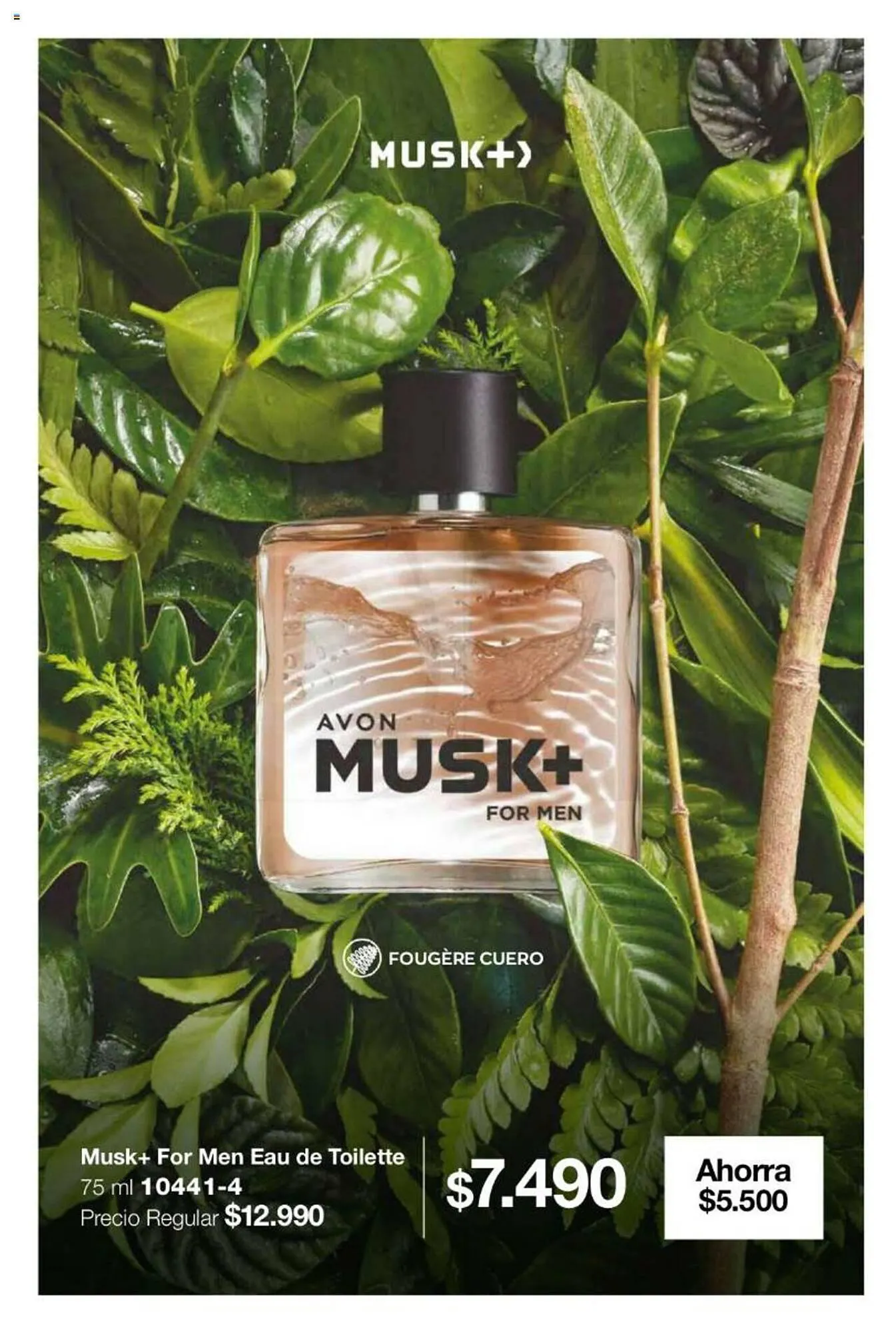 Catálogo de Catálogo Avon 1 de septiembre al 31 de octubre 2023 - Página 43