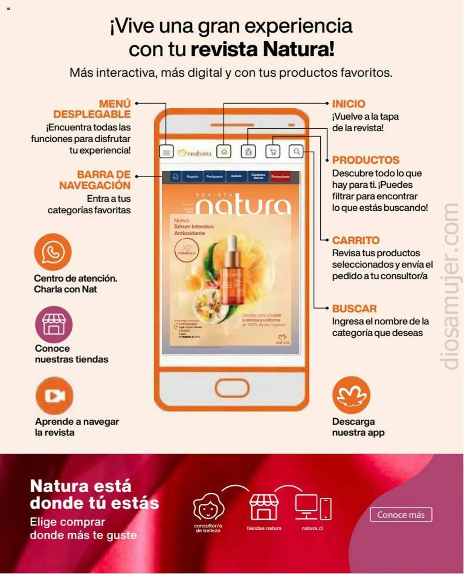 Catálogo de Catálogo Natura 1 de octubre al 15 de octubre 2023 - Página 6