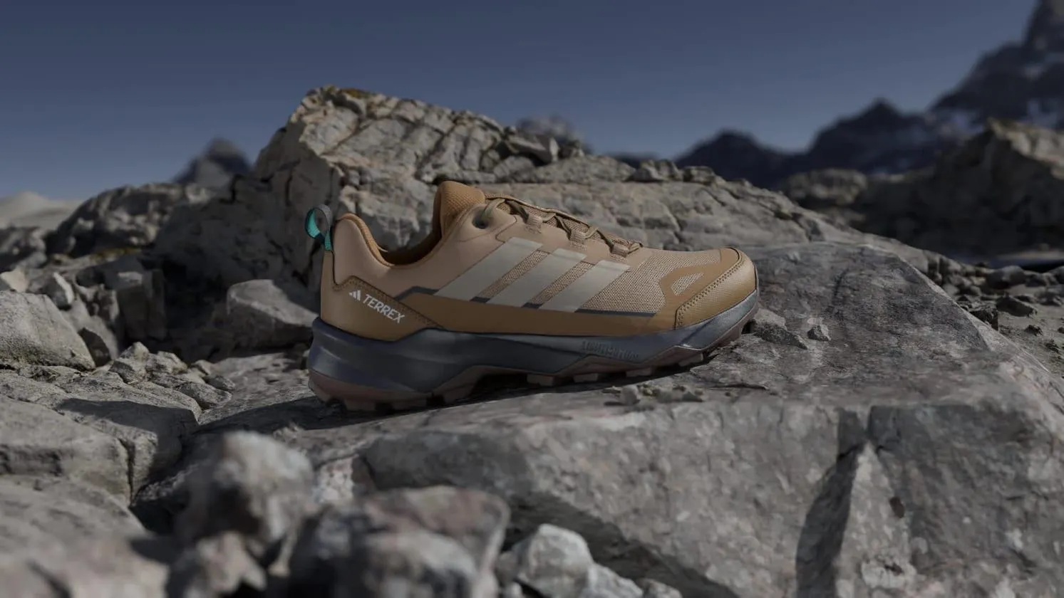 Zapatillas de Senderismo Terrex Skychaser Ax5