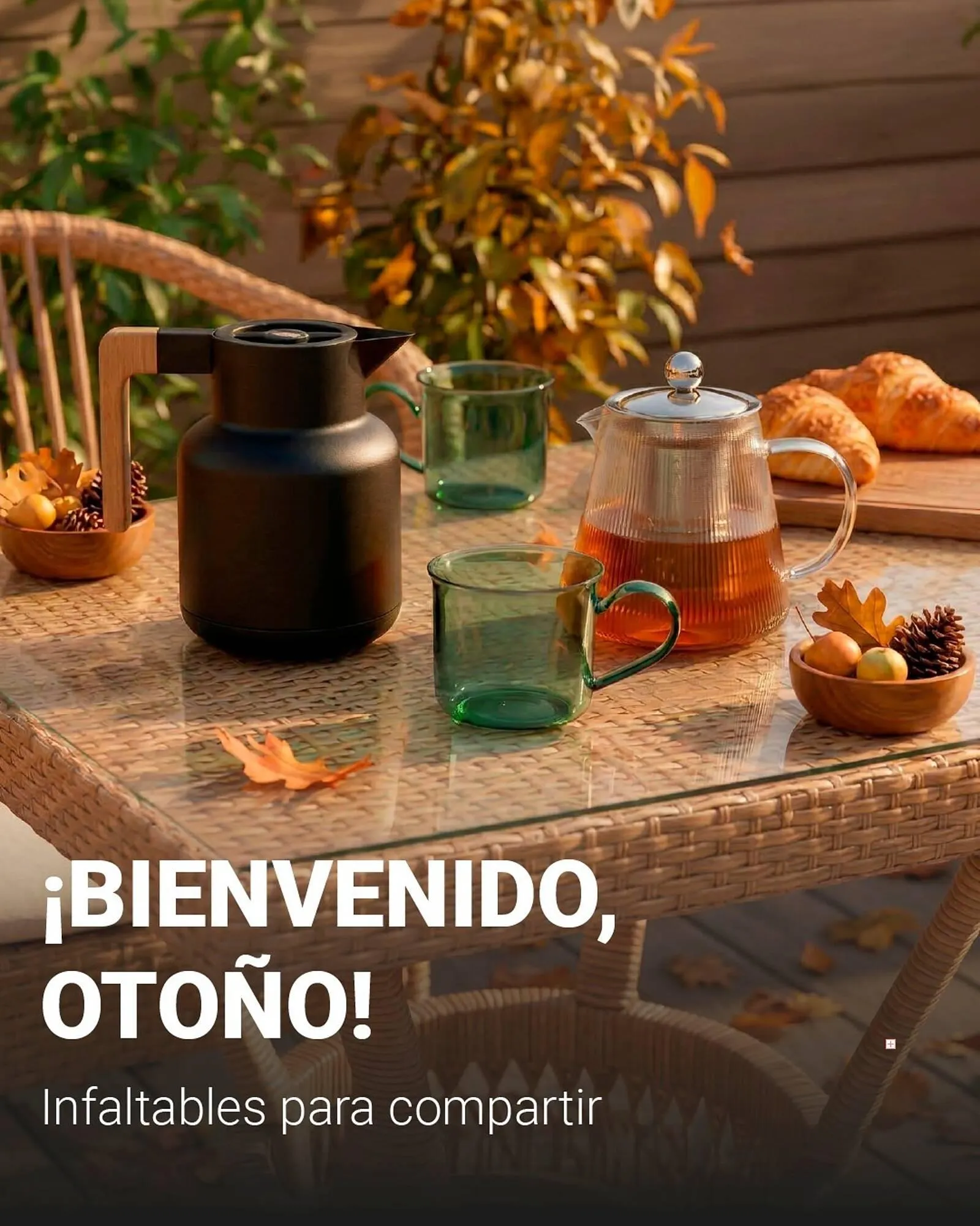 Catálogo de Catálogo El Volcan 20 de marzo al 31 de marzo 2026 - Página 1