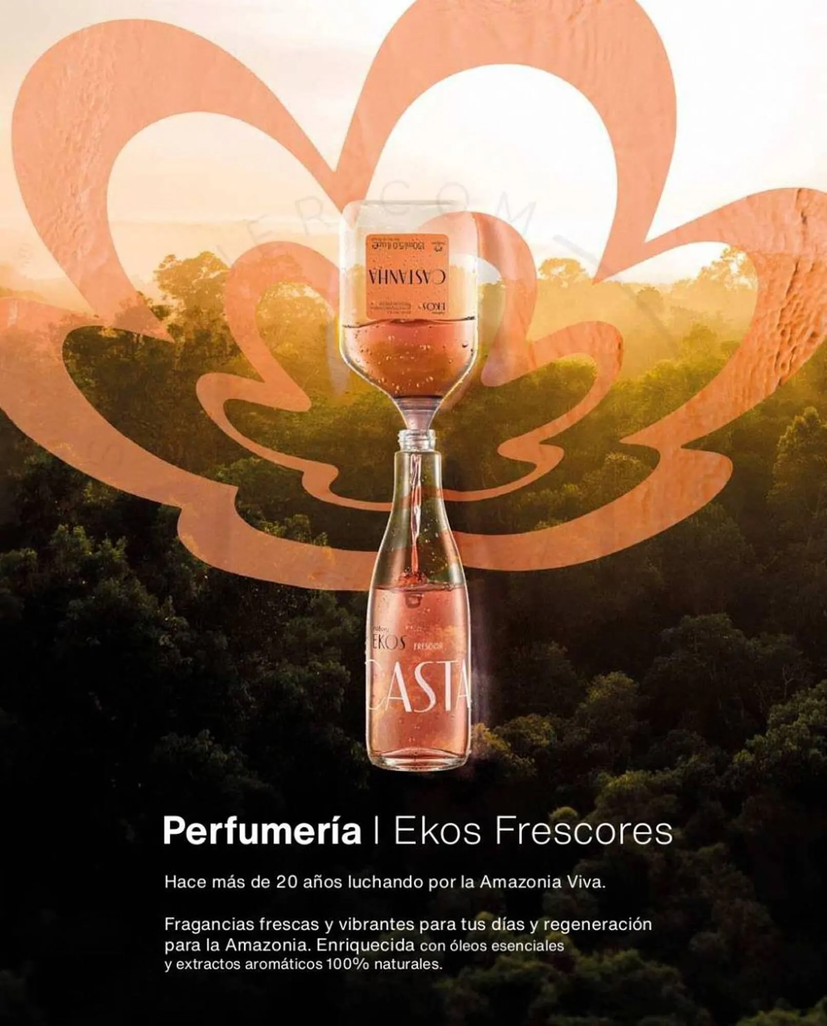 Catálogo de Catálogo Natura 18 de septiembre al 30 de septiembre 2023 - Página 12