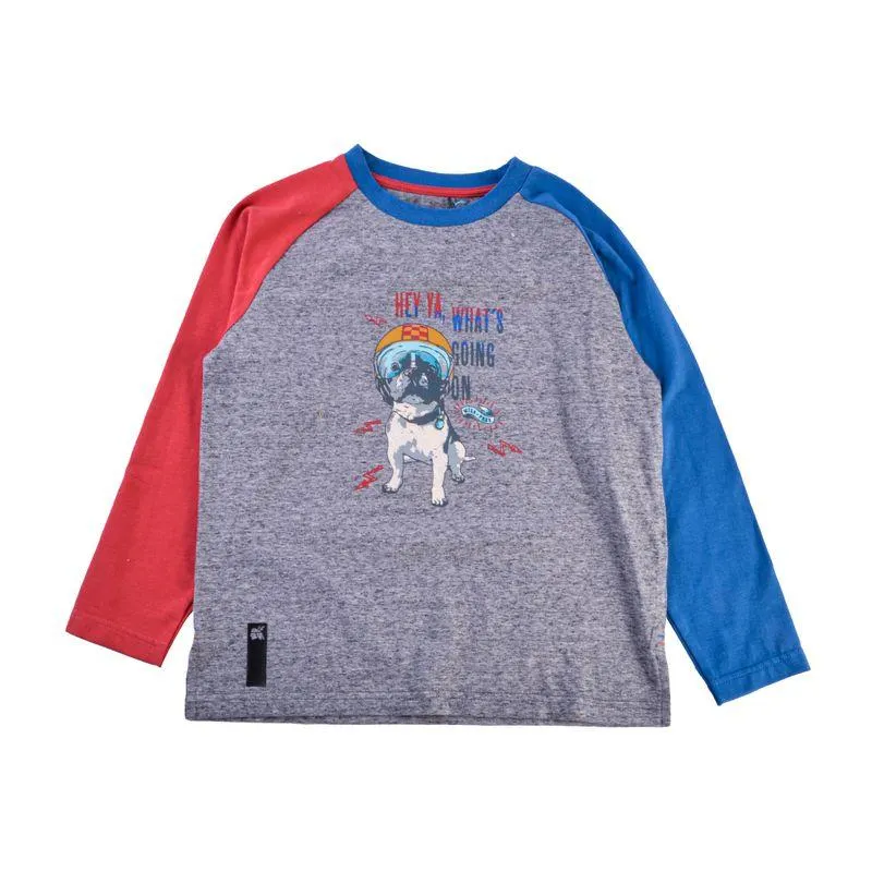 Polera Manga Larga Niño Gris