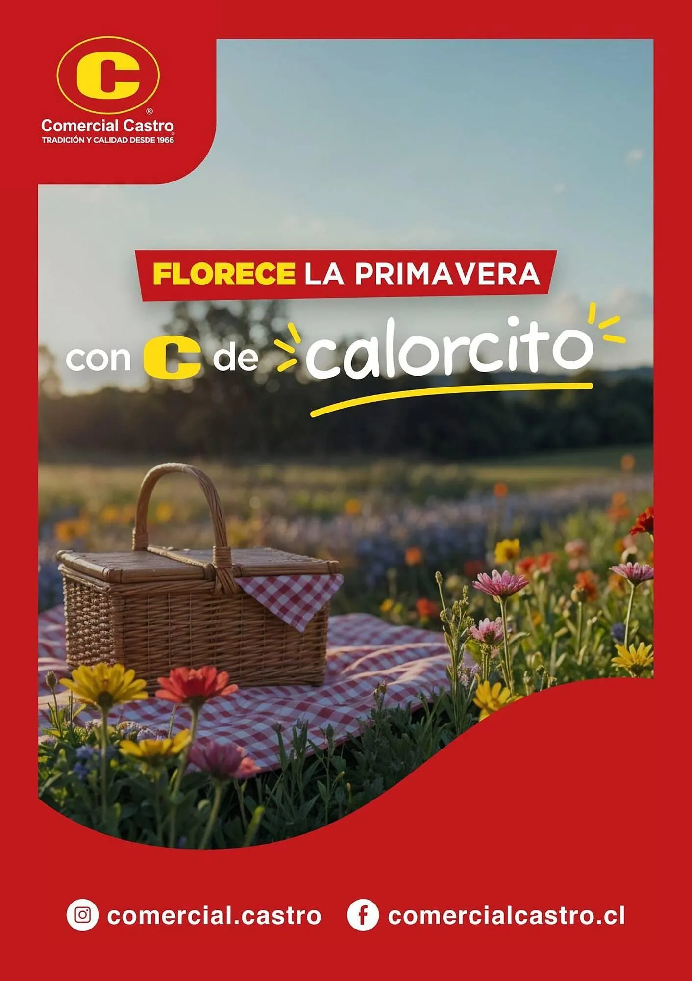 Catálogo de Catálogo Comercial Castro 14 de noviembre al 19 de noviembre 2025 - Página 21