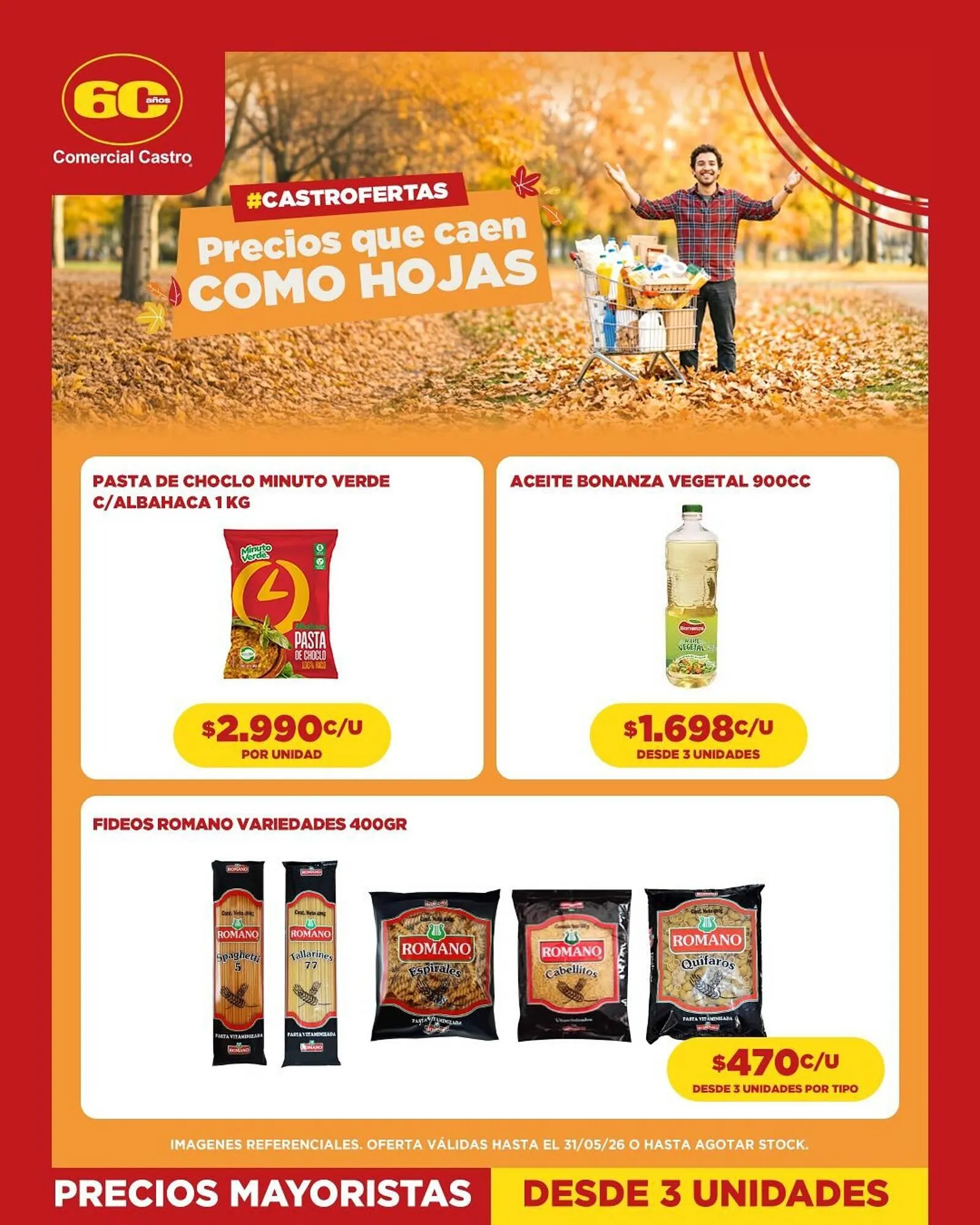 Catálogo de Catálogo Comercial Castro 4 de mayo al 31 de mayo 2026 - Página 3