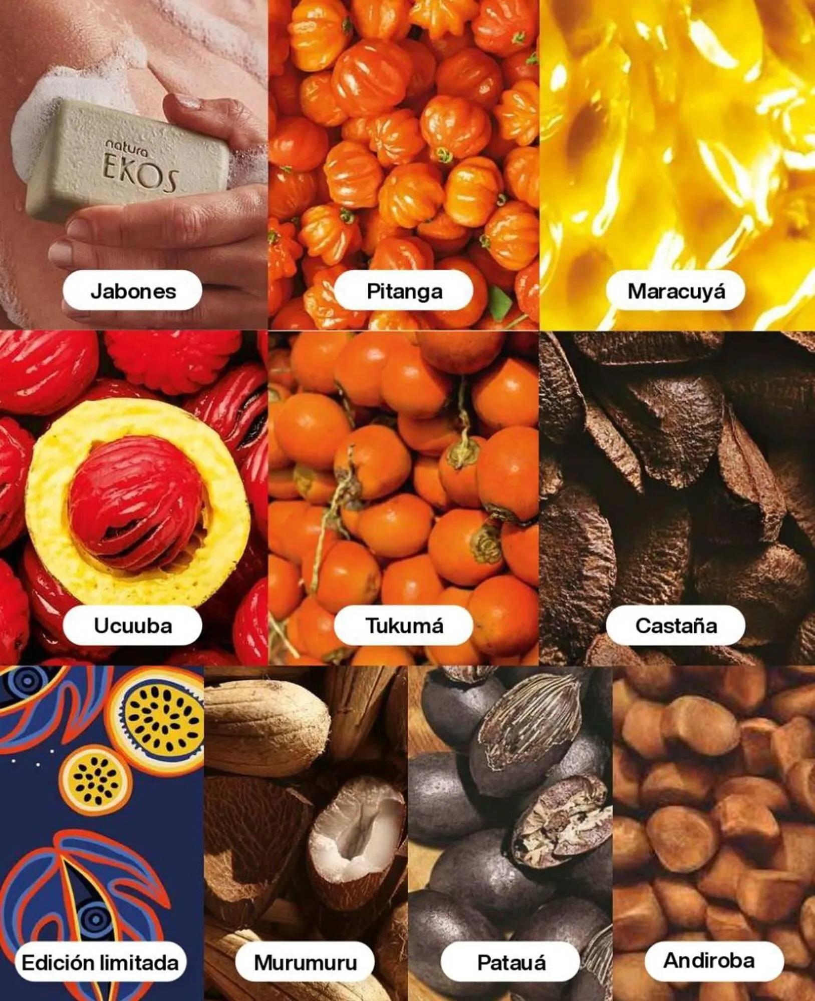 Catálogo de Catálogo Natura 24 de octubre al 7 de noviembre 2024 - Página 146