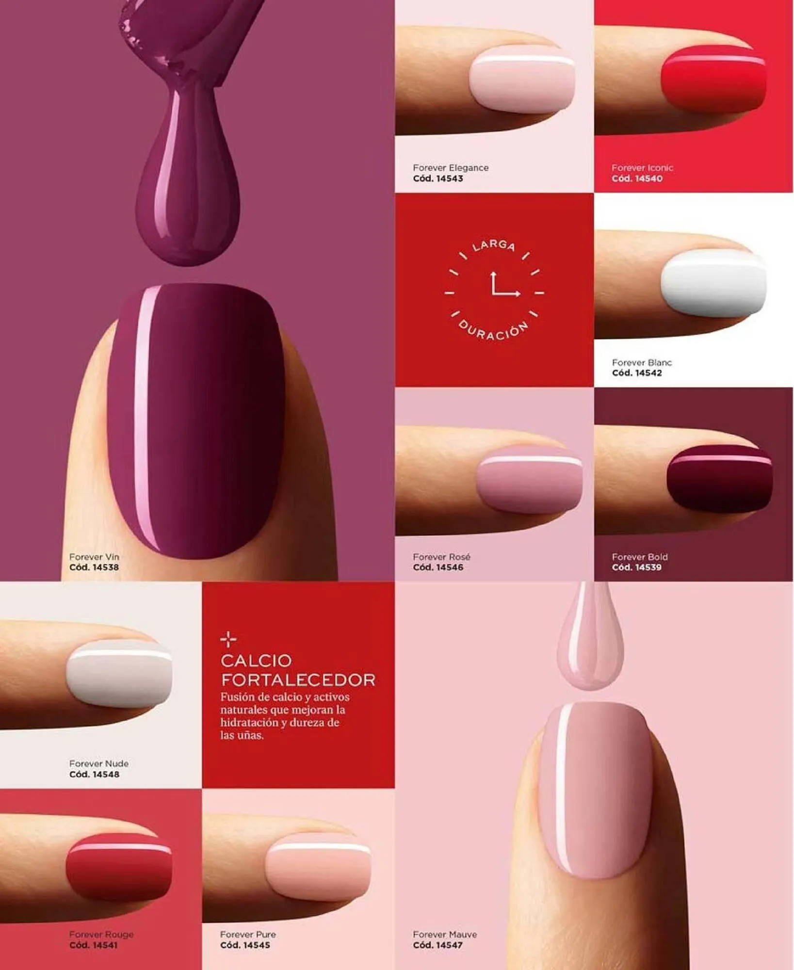 Catálogo de Catálogo L'Bel 19 de octubre al 2 de noviembre 2023 - Página 44