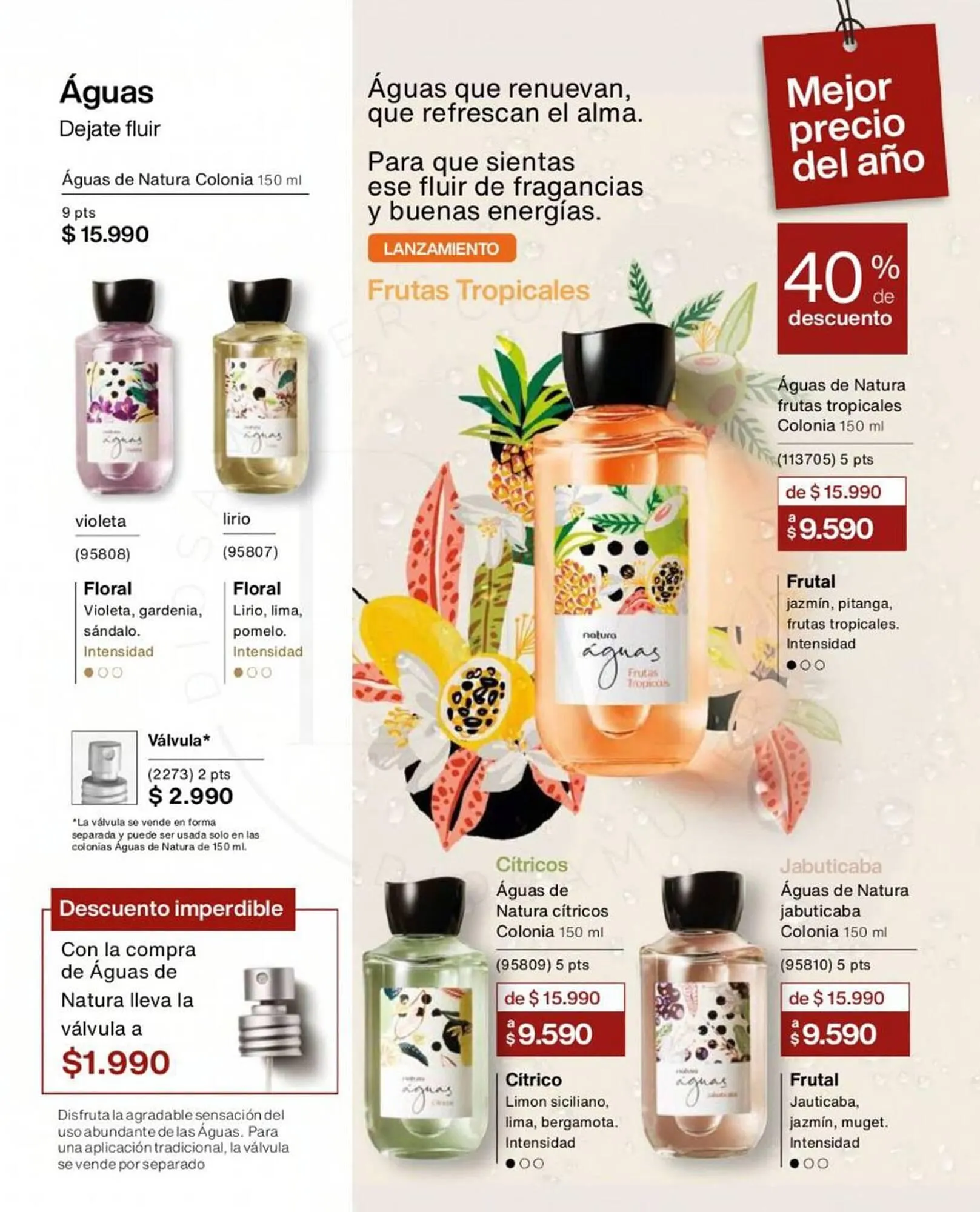 Catálogo de Catálogo Natura 1 de enero al 20 de enero 2024 - Página 31