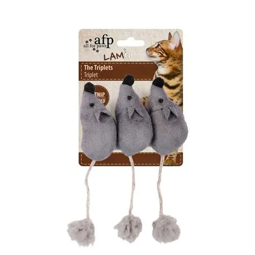 AFP LAMB TRIPLETS MICE