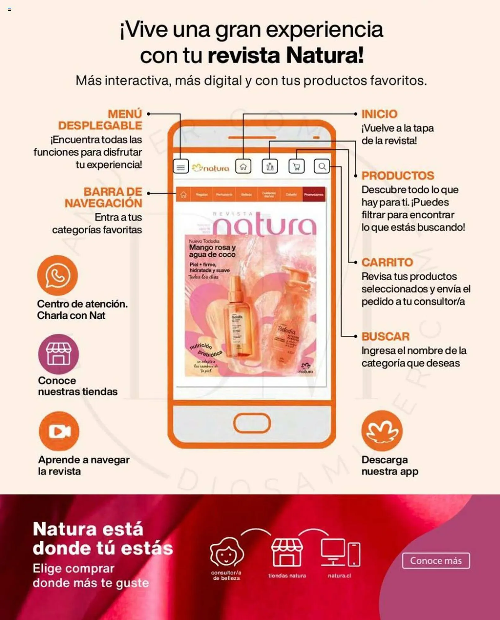 Catálogo de Catálogo Natura 31 de octubre al 30 de noviembre 2023 - Página 6