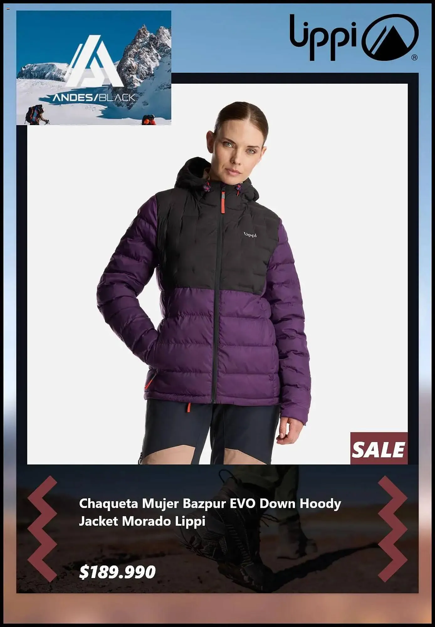 Catálogo de Catálogo Lippi 20 de noviembre al 2 de diciembre 2024 - Página 4