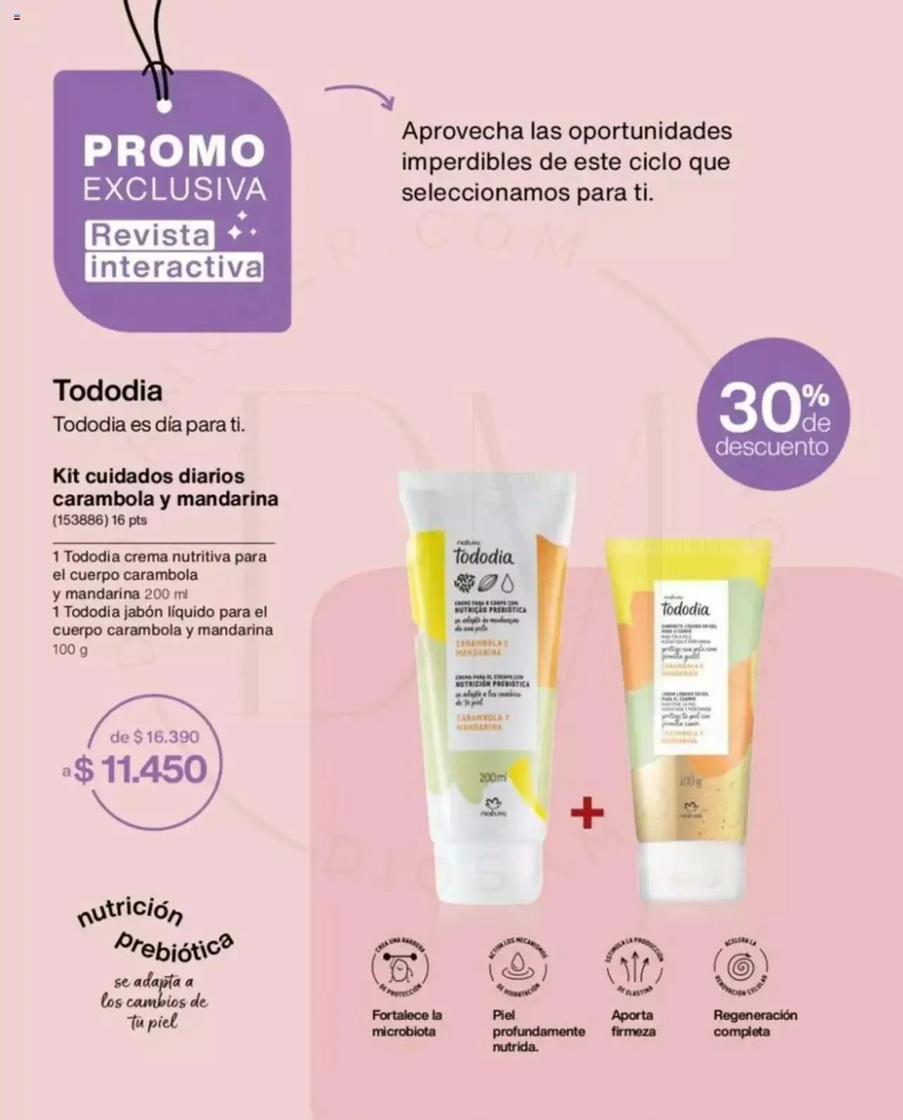 Catálogo de Natura catálogo 12 de febrero al 31 de diciembre 2024 - Página 92