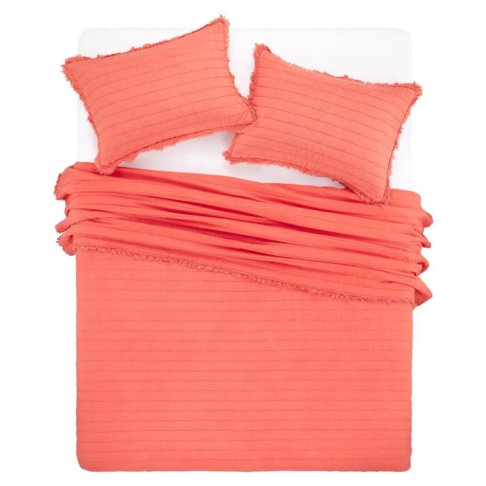 Quilt Cotton Color 1 plaza