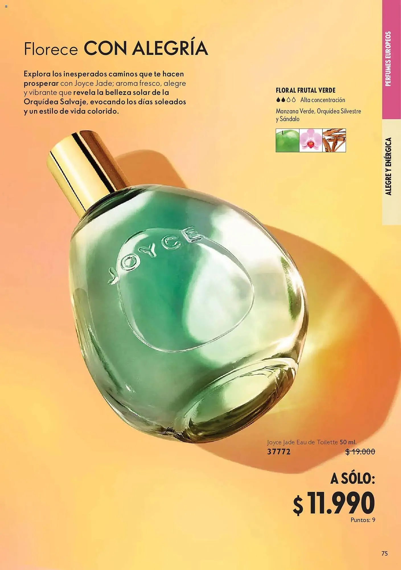 Catálogo de Catálogo Oriflame 9 de mayo al 30 de mayo 2026 - Página 77
