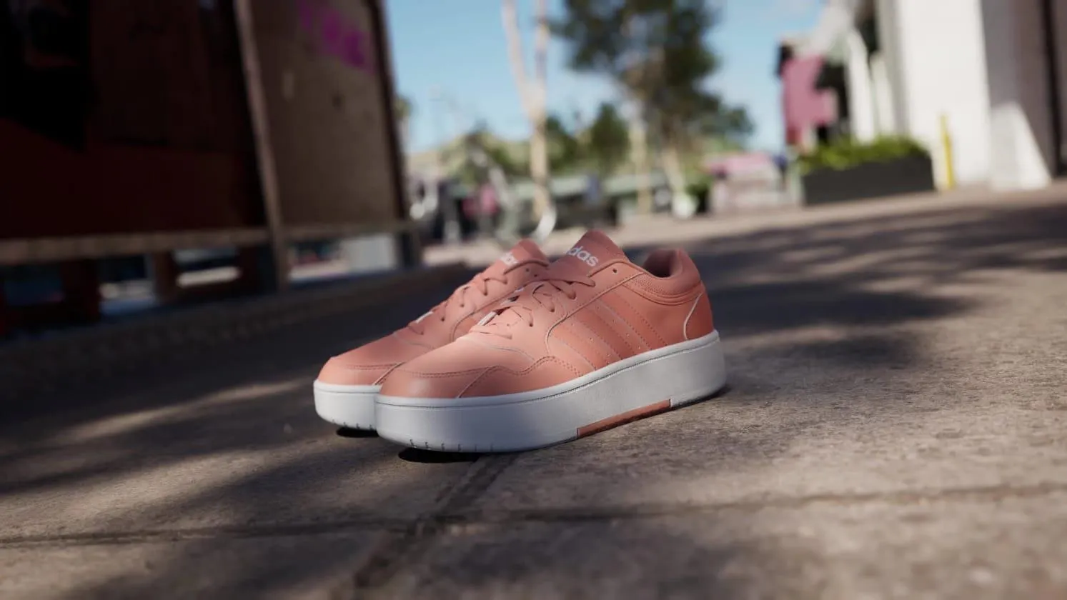 Zapatillas Hoops 3.0 Bold