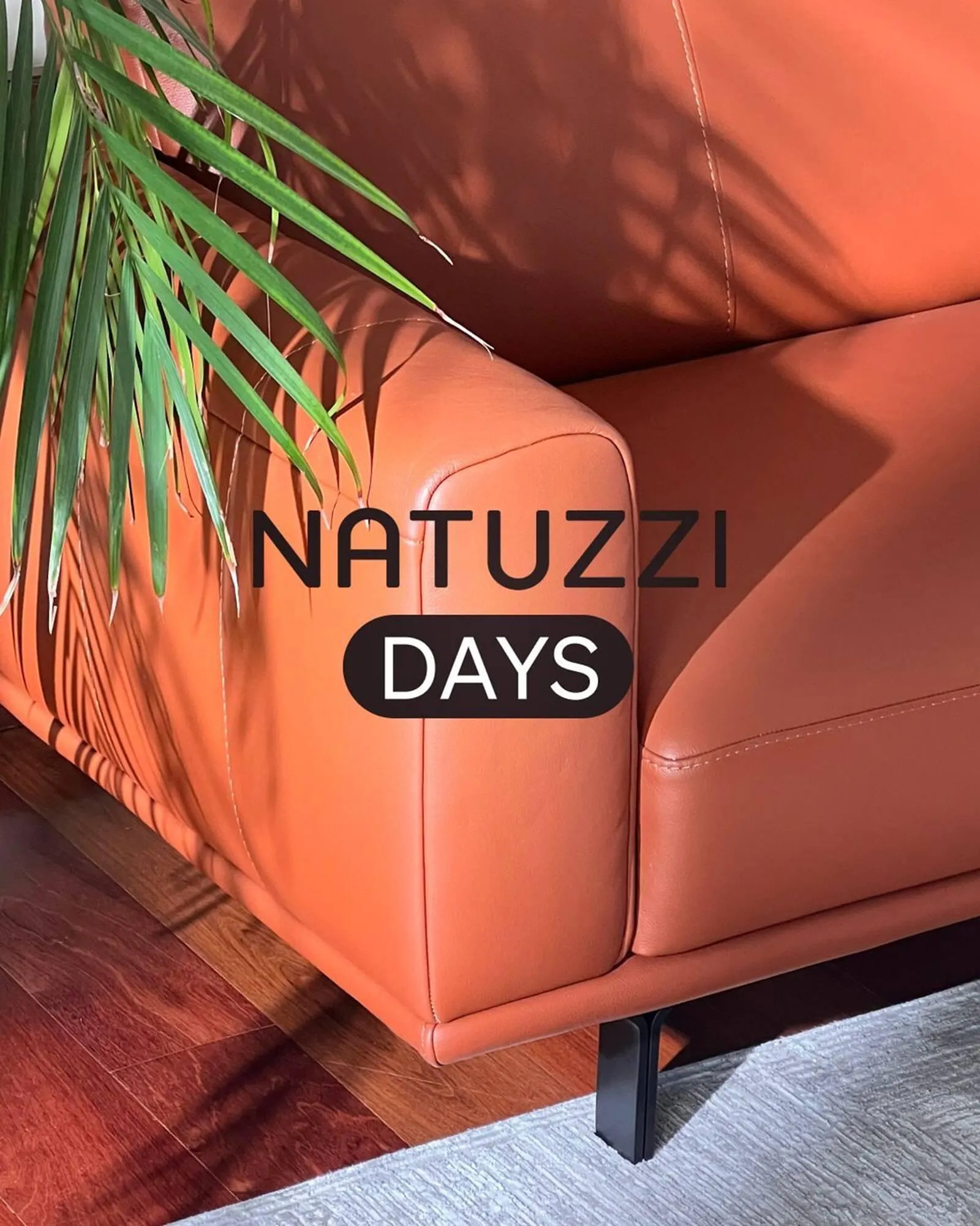 Catálogo de Catálogo Sur Diseño 12 de marzo al 31 de marzo 2025 - Página 1