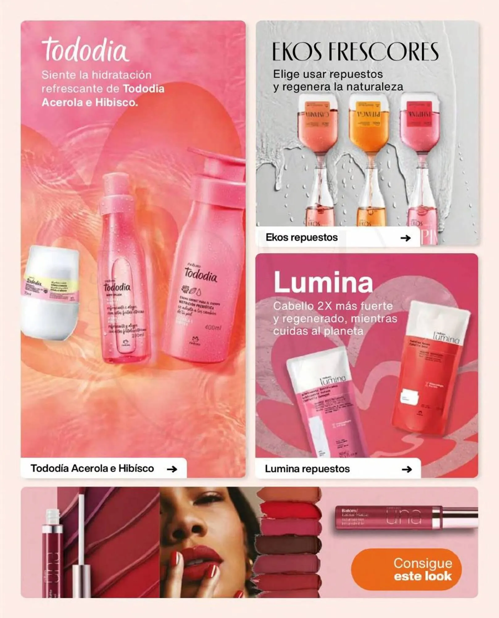 Catálogo de Catálogo Natura 1 de enero al 20 de enero 2024 - Página 3