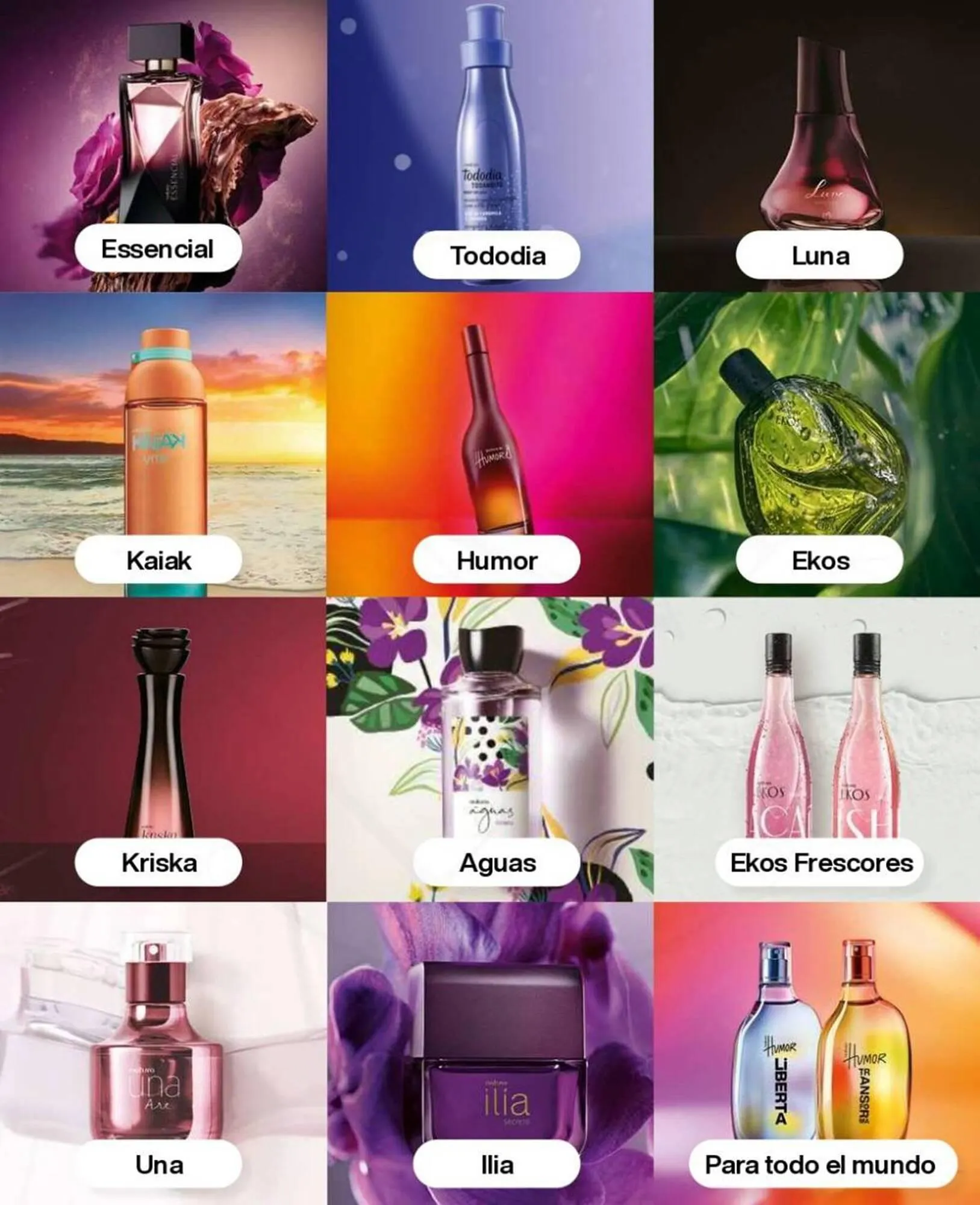 Catálogo de Catálogo Natura 24 de octubre al 7 de noviembre 2024 - Página 67