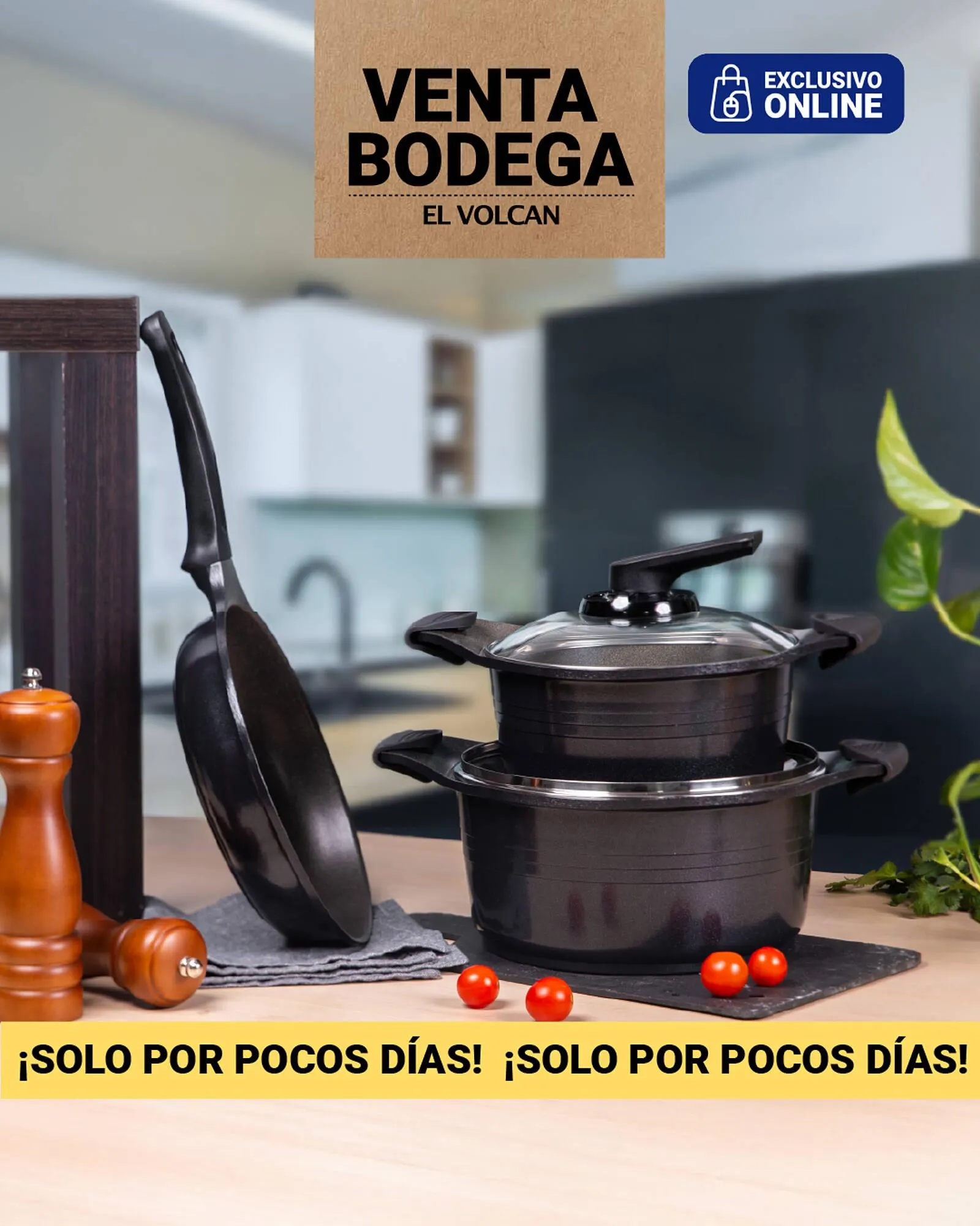 Catálogo de Catálogo El Volcan 24 de marzo al 5 de abril 2025 - Página 5