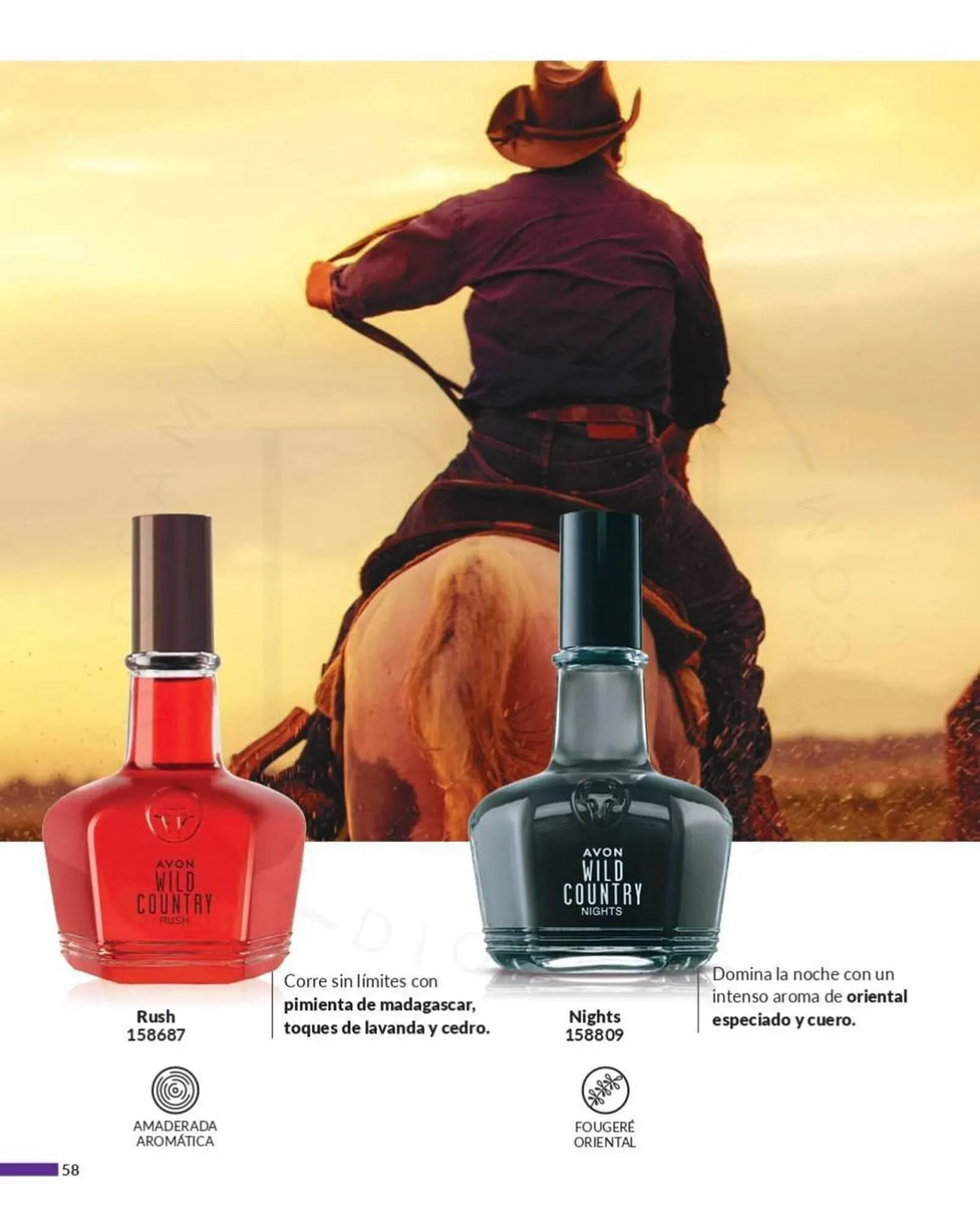 Catálogo de Catálogo Avon 12 de febrero al 29 de febrero 2024 - Página 53