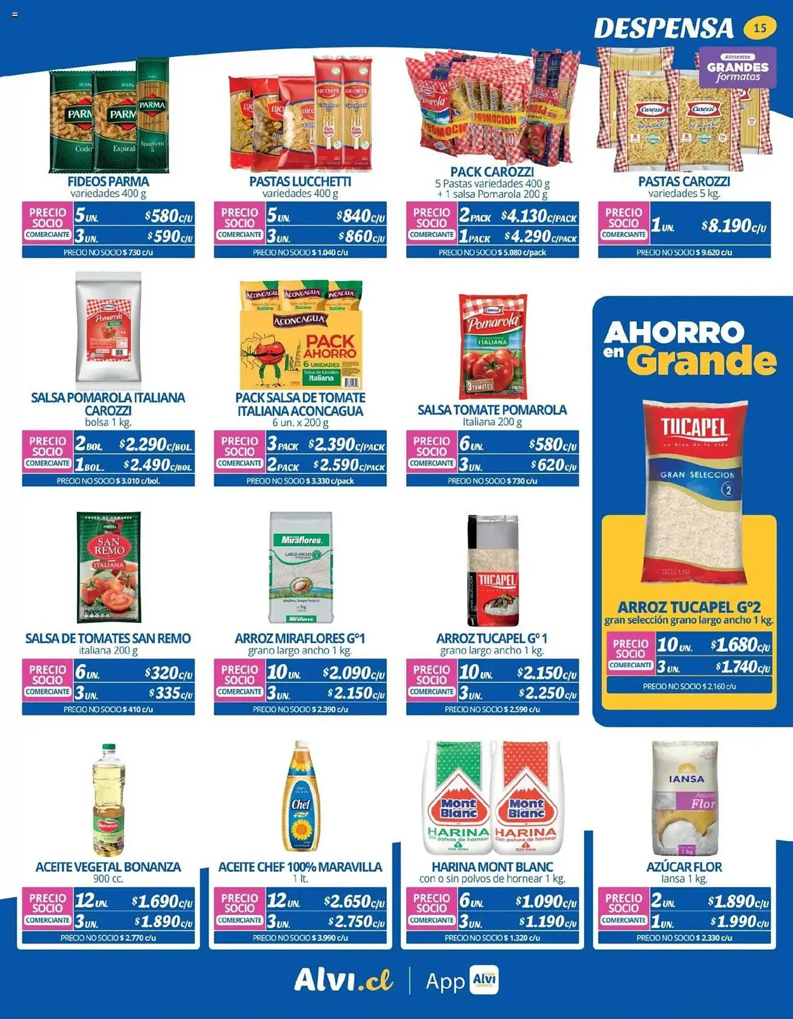 Catálogo de Catálogo Alvi 26 de marzo al 22 de abril 2025 - Página 15