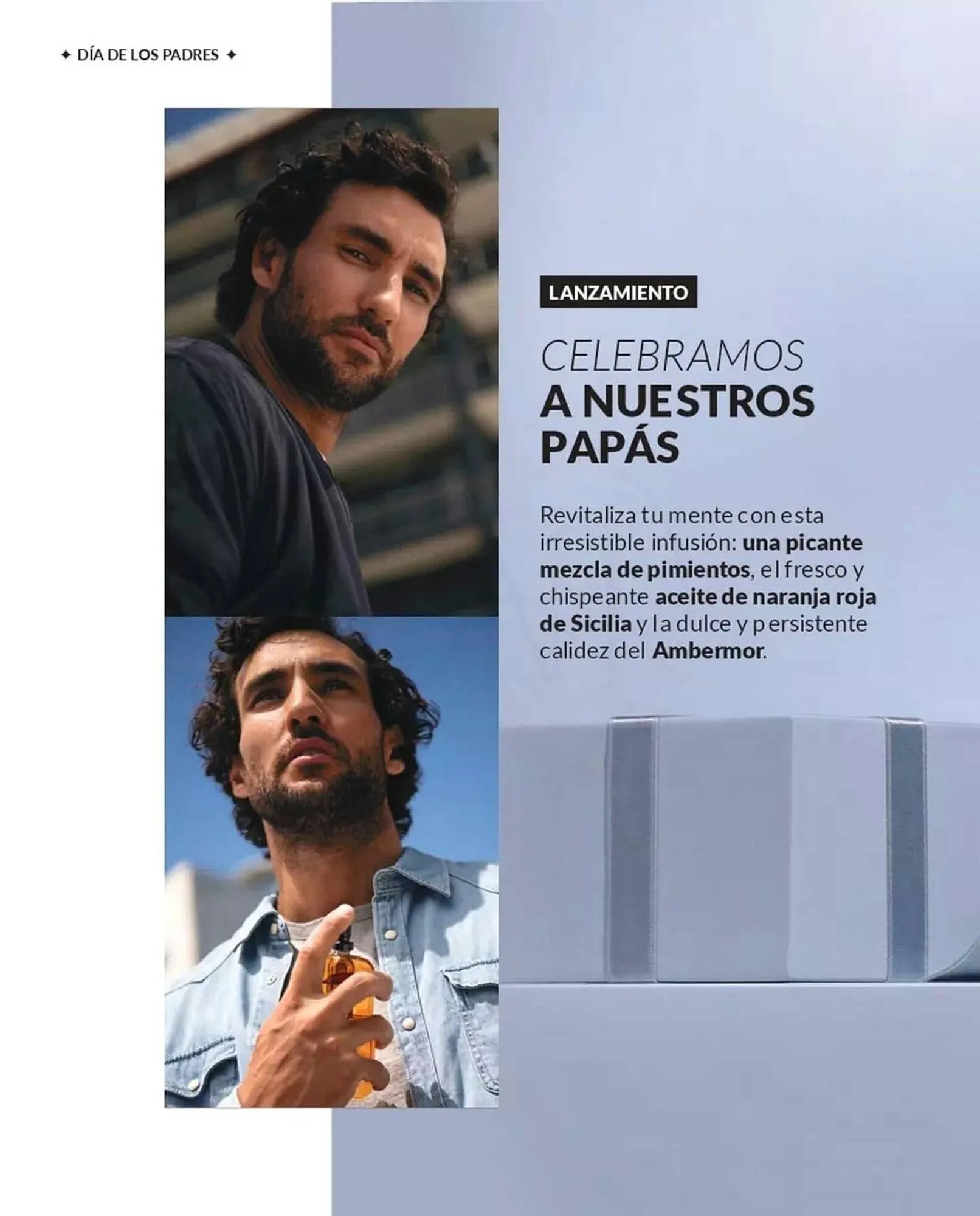 Catálogo de Catálogo Avon 16 de abril al 22 de abril 2025 - Página 5