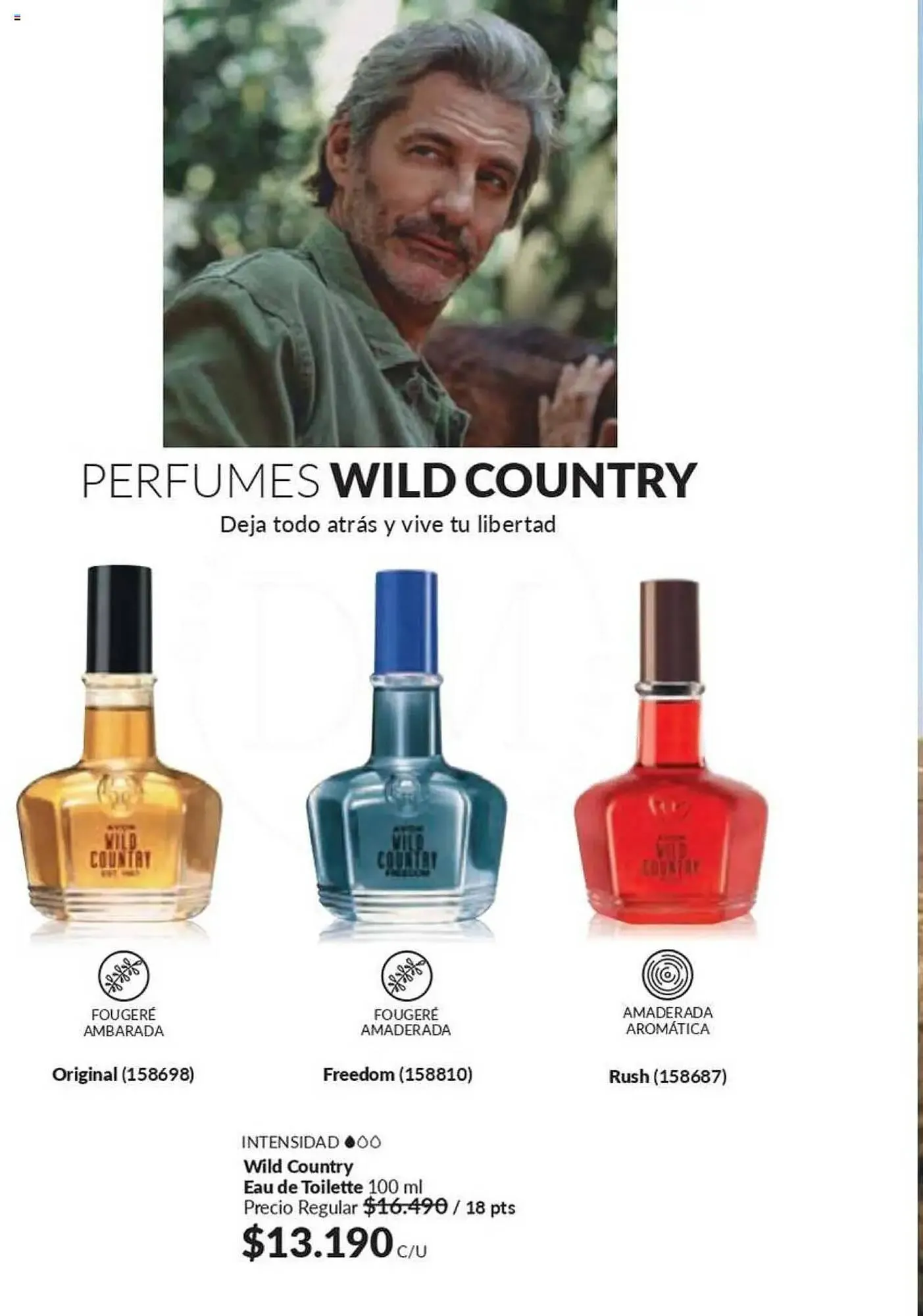 Catálogo de Catálogo Avon 1 de marzo al 16 de marzo 2025 - Página 69