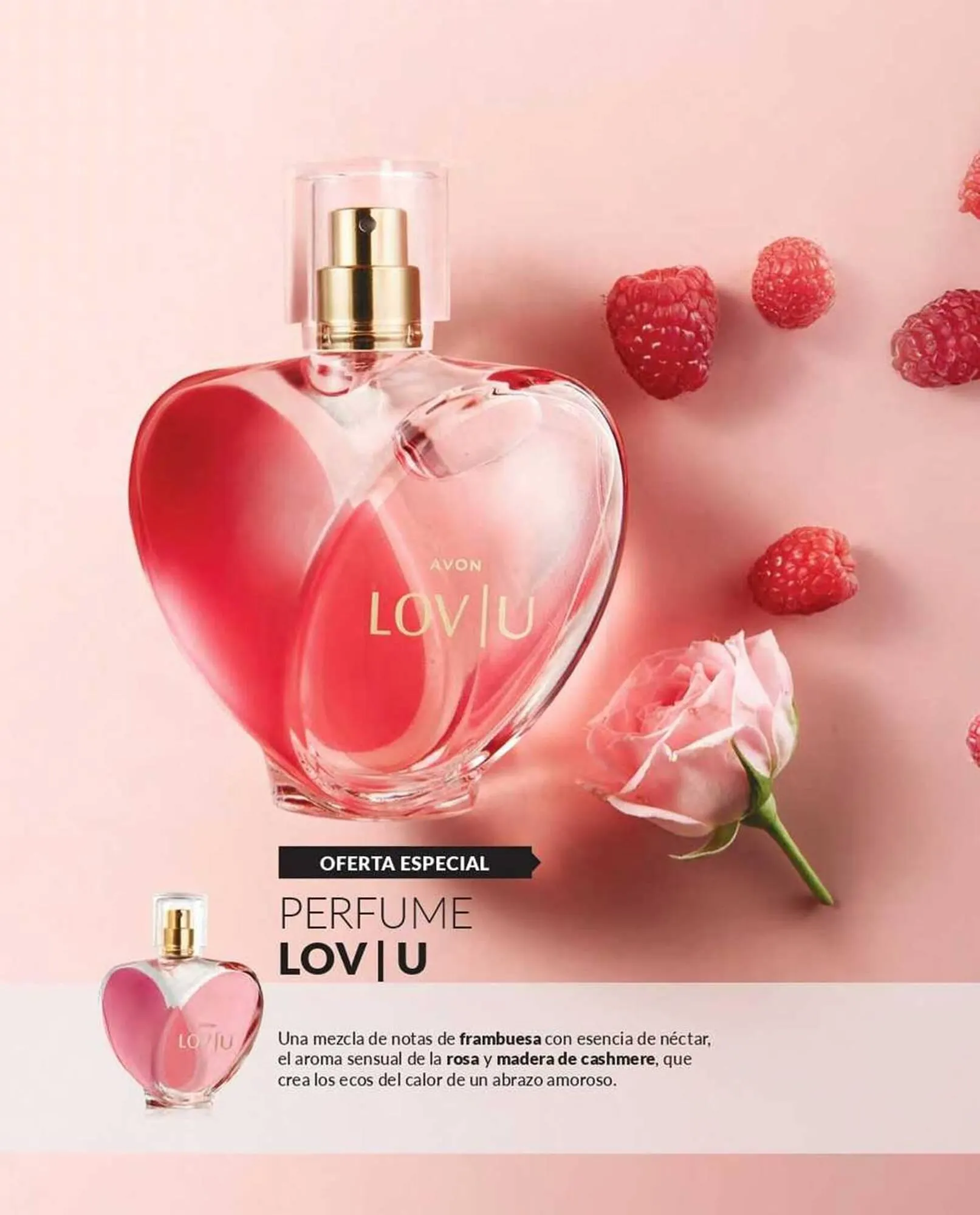 Catálogo de Catálogo Avon 15 de septiembre al 31 de octubre 2025 - Página 63