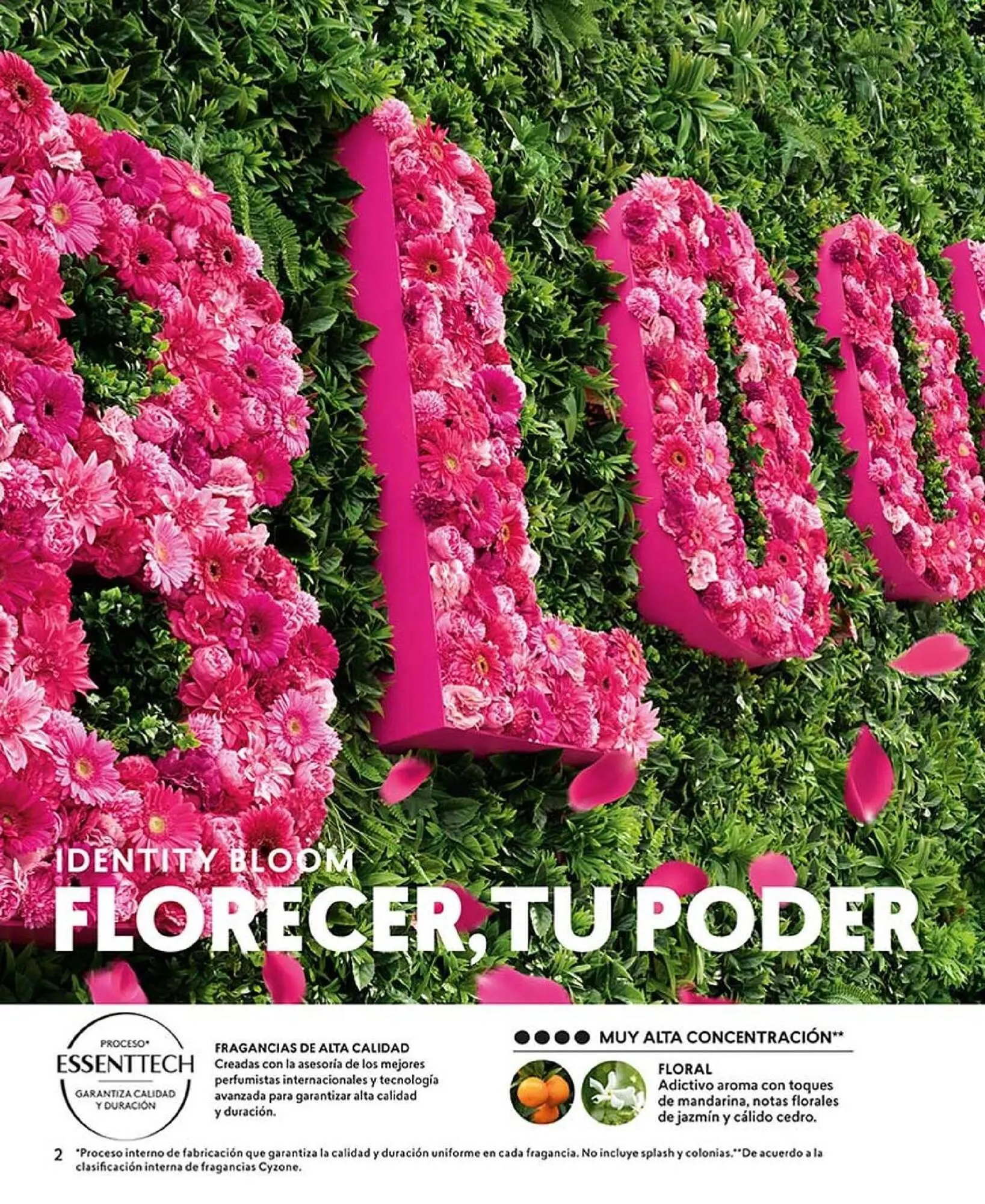 Catálogo de Catálogo Cyzone 25 de marzo al 31 de mayo 2025 - Página 2