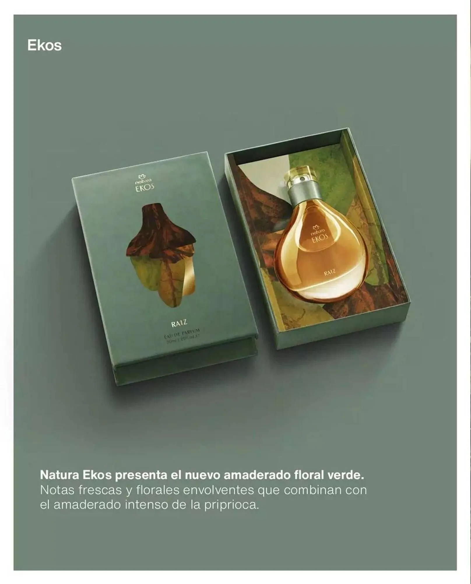 Catálogo de Catálogo Natura 1 de noviembre al 30 de noviembre 2025 - Página 28