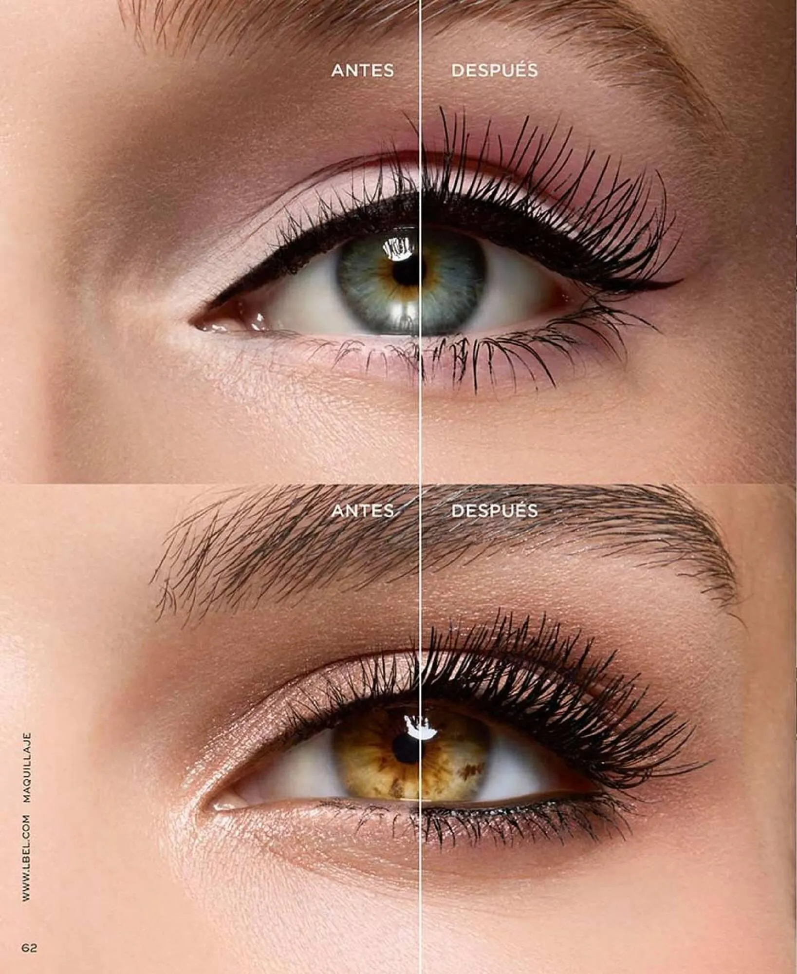 Catálogo de Catálogo L'Bel 1 de noviembre al 30 de noviembre 2025 - Página 62