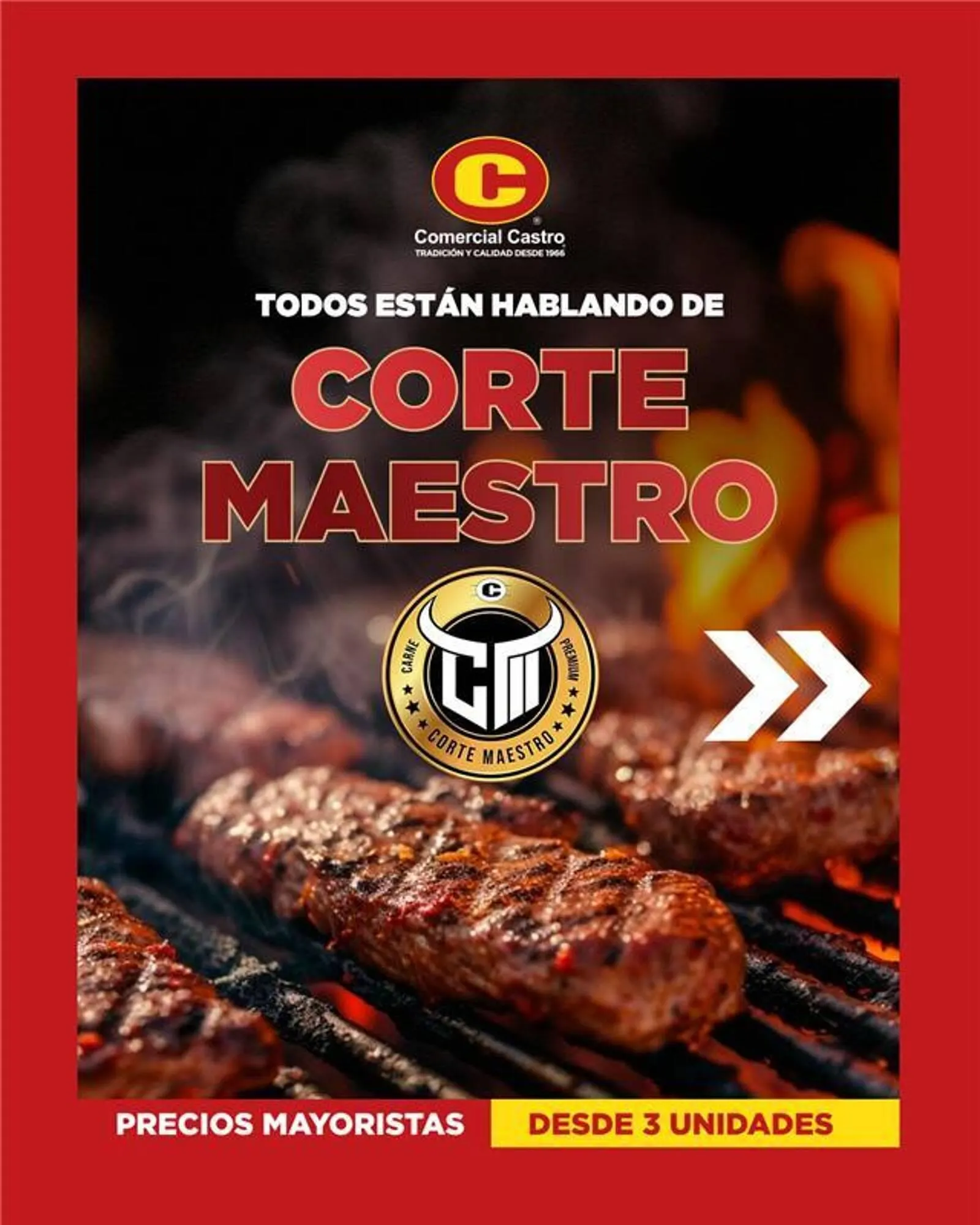 Catálogo Comercial Castro - 1