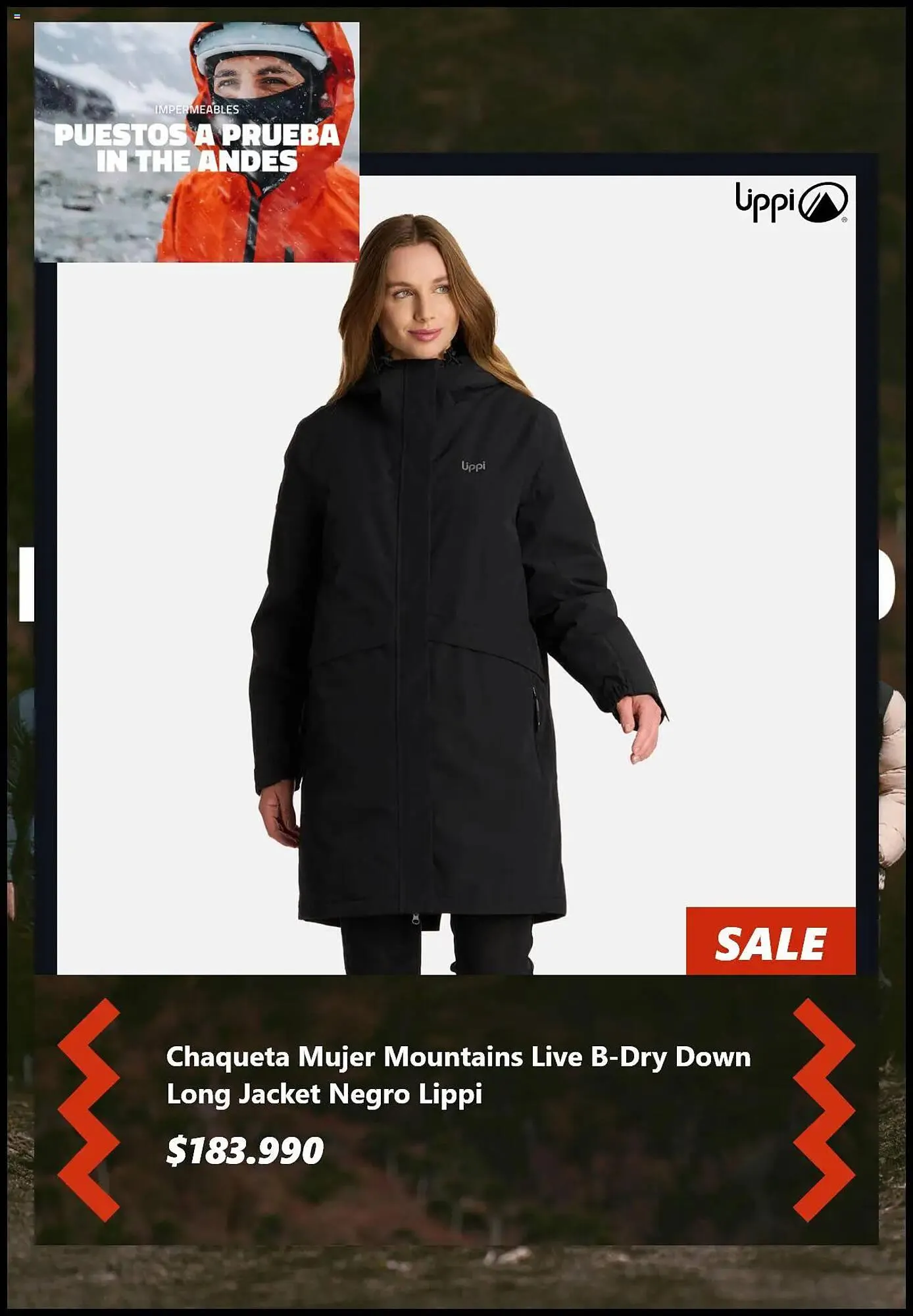 Catálogo de Catálogo Lippi 16 de junio al 15 de julio 2025 - Página 7