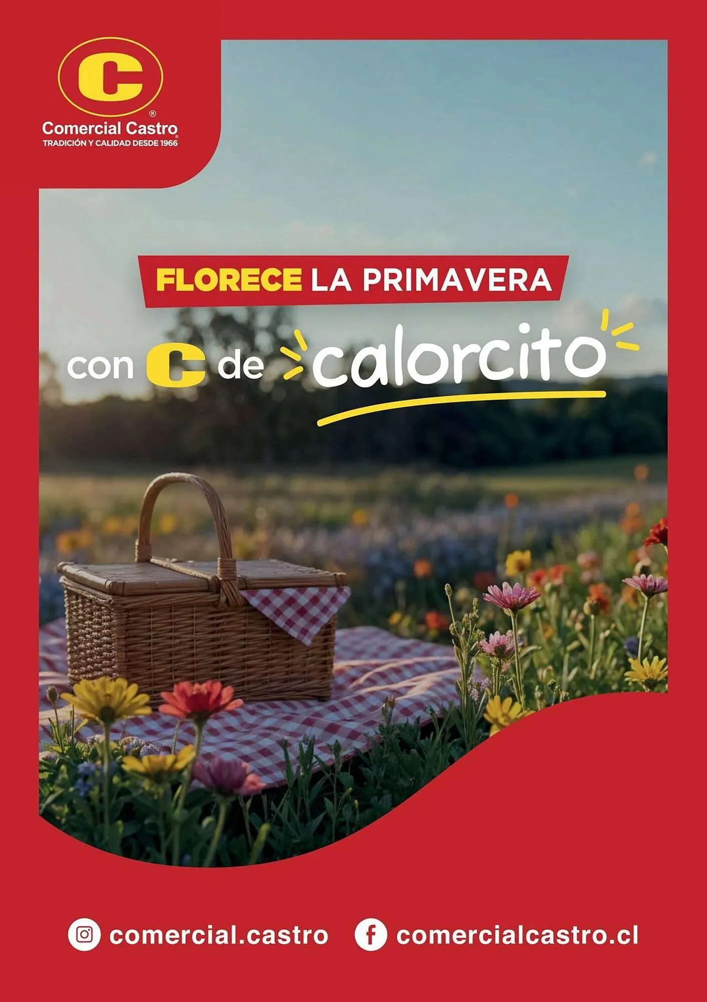 Catálogo de Catálogo Comercial Castro 24 de octubre al 31 de octubre 2025 - Página 18