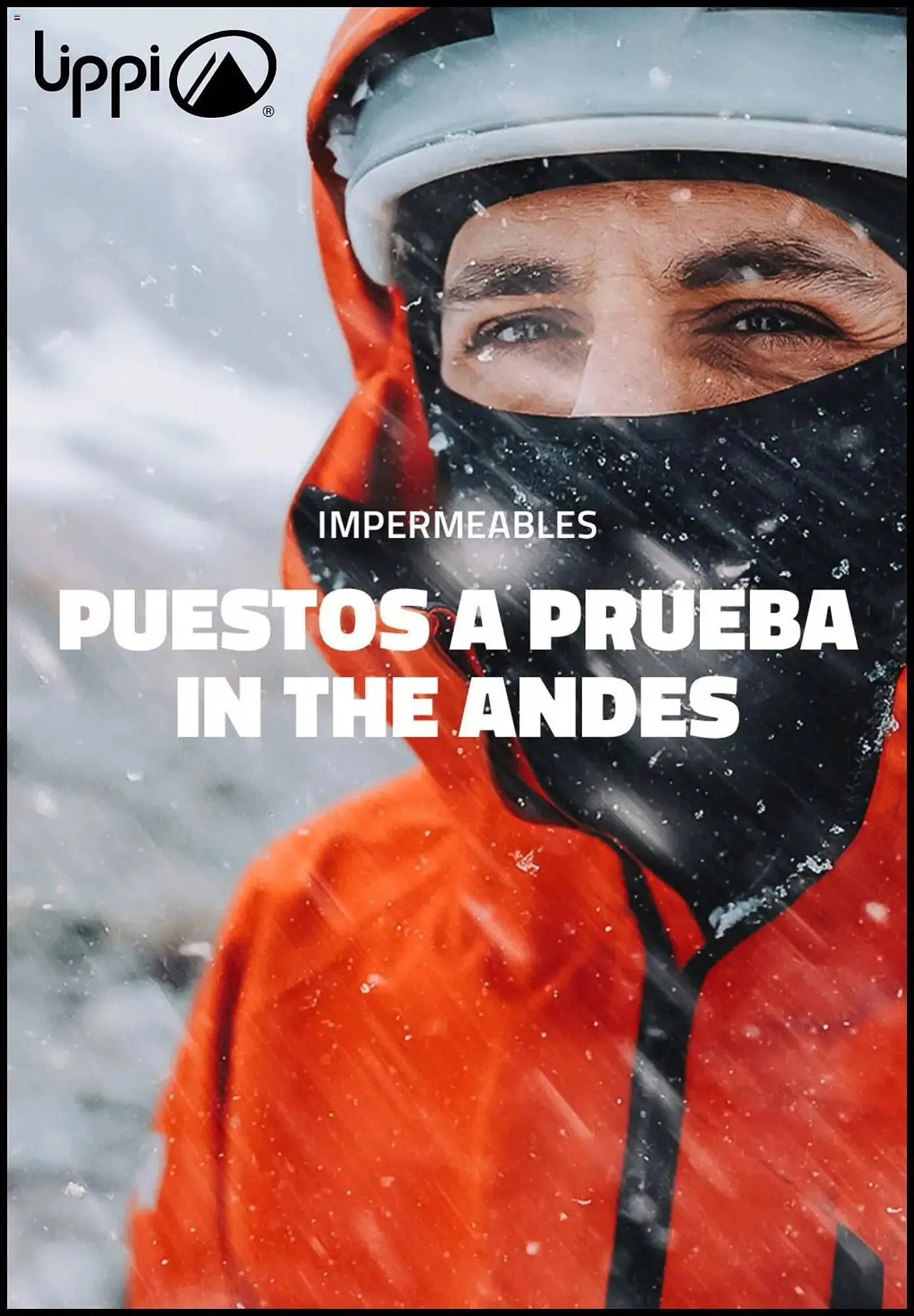 Catálogo de Catálogo Lippi 16 de junio al 15 de julio 2025 - Página 1