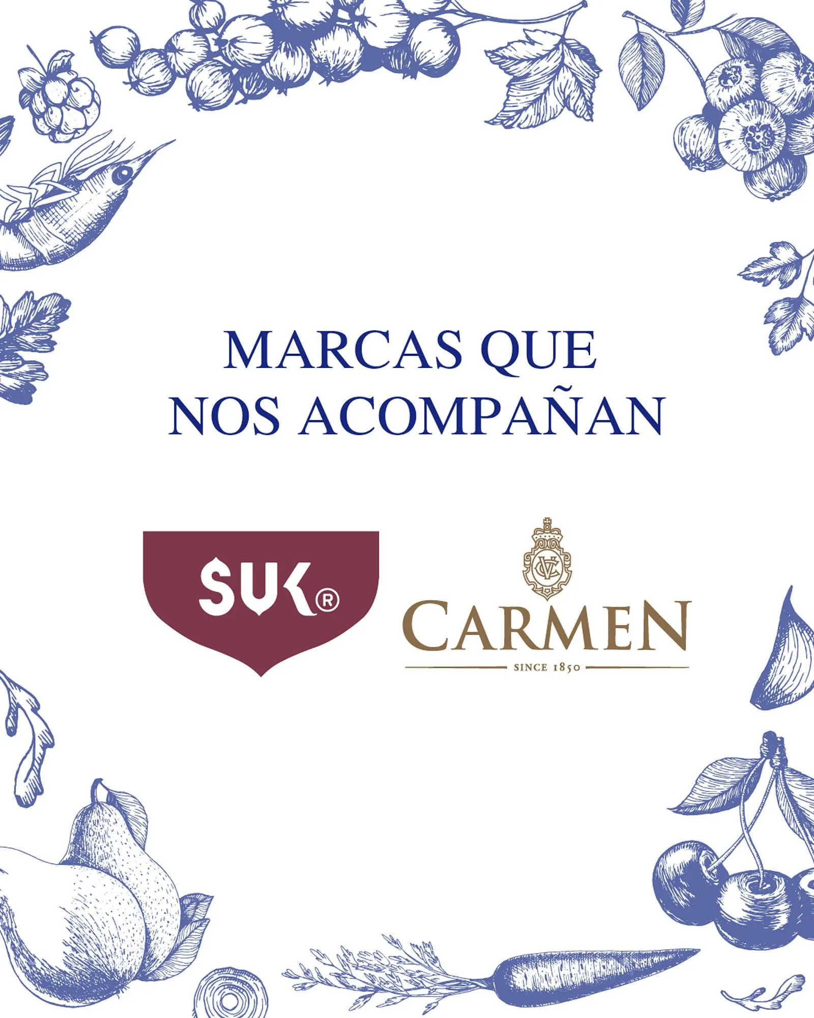 Catálogo de Catálogo El Volcan 24 de marzo al 17 de abril 2025 - Página 5