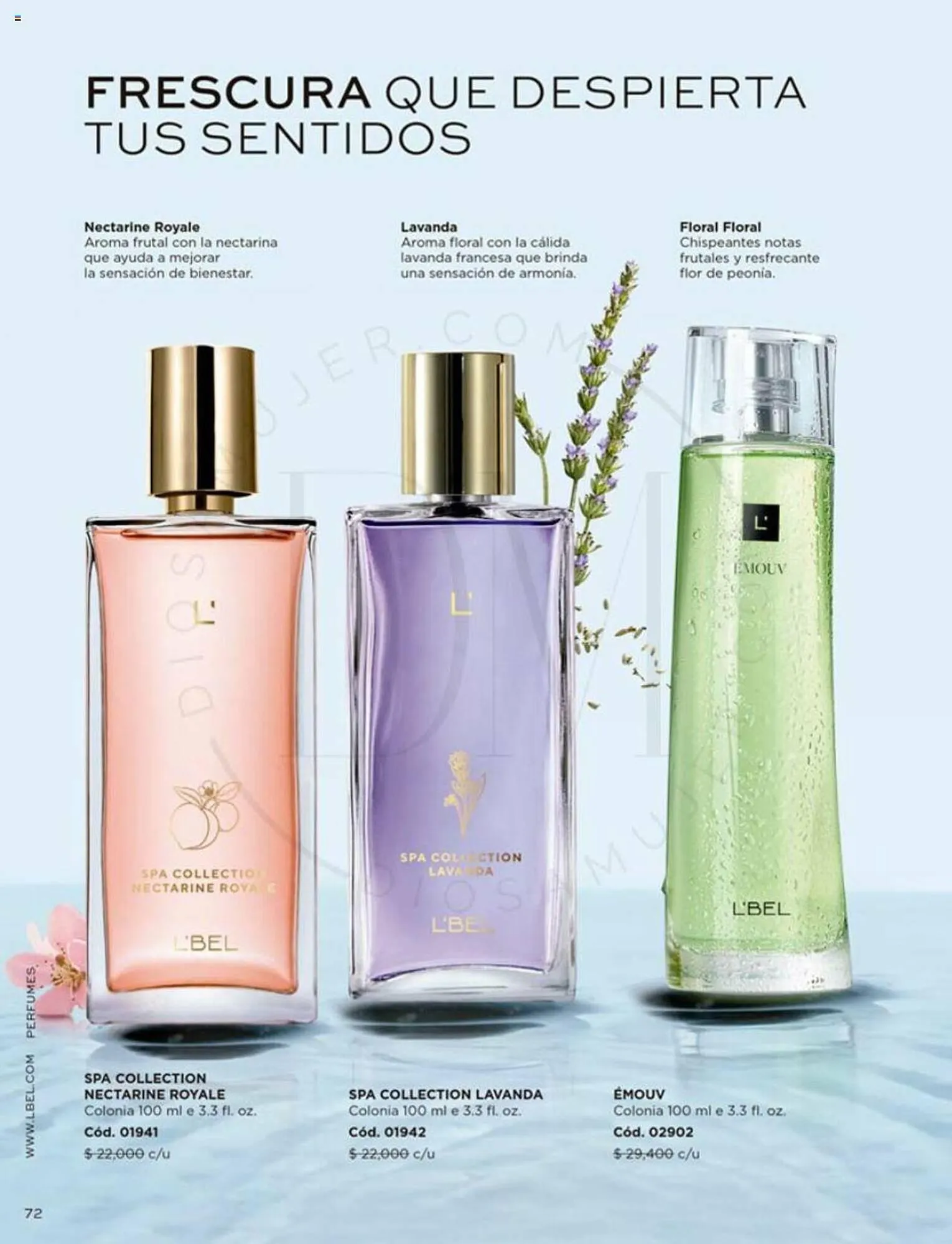 Catálogo de Catálogo L'Bel 1 de agosto al 31 de agosto 2023 - Página 72