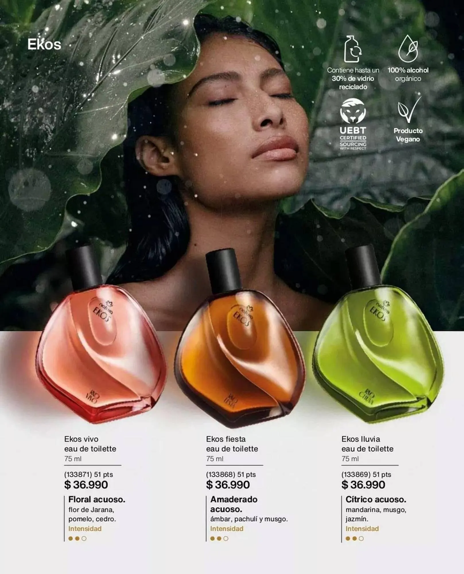 Catálogo de Catálogo Natura 1 de julio al 31 de julio 2025 - Página 55