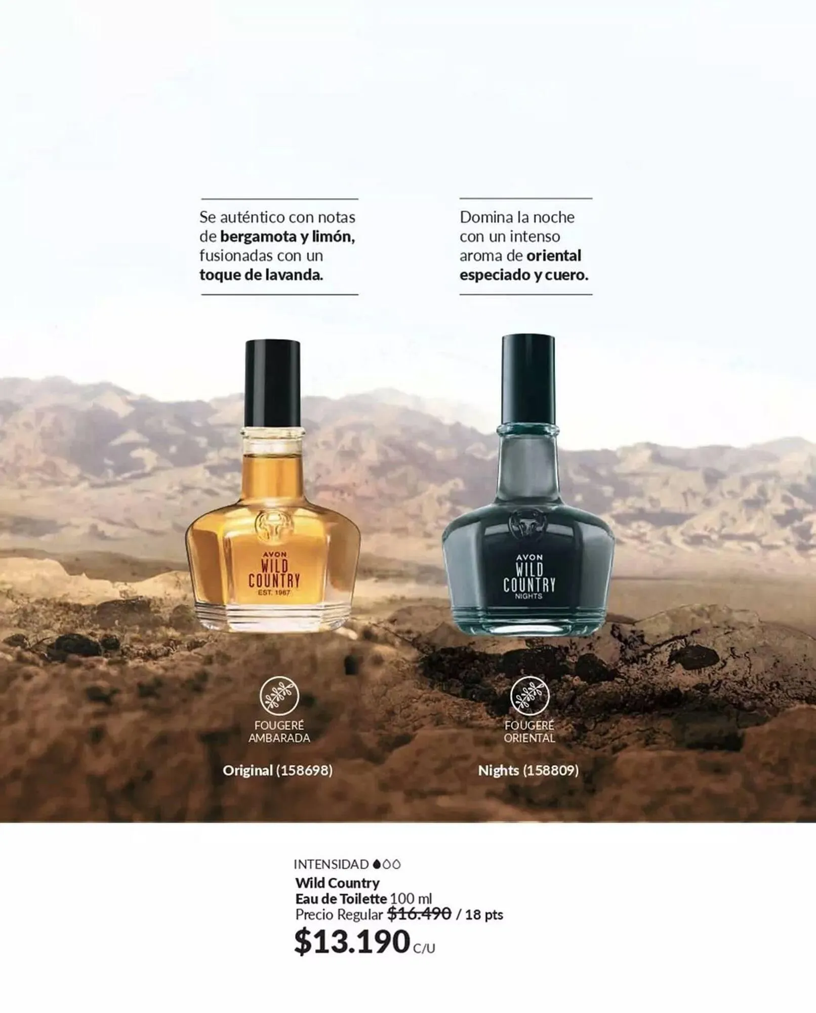 Catálogo de Catálogo Avon 25 de marzo al 31 de marzo 2025 - Página 71